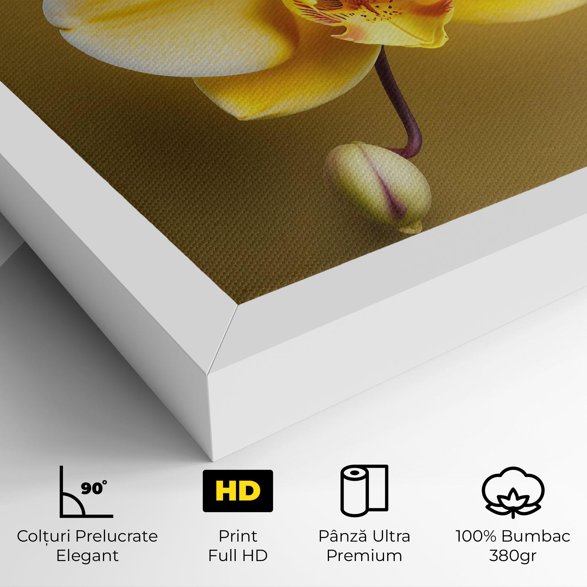 Tablou Canvas Pastel Yellow Orchid mockup 4
