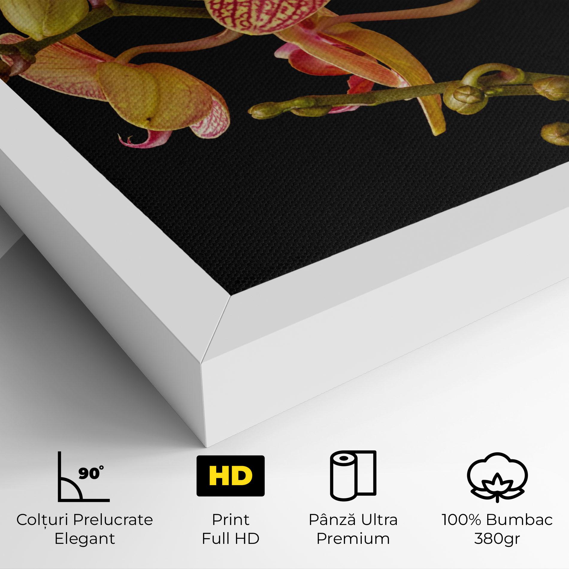 Tablou Canvas Pink Orchids On Black mockup 4