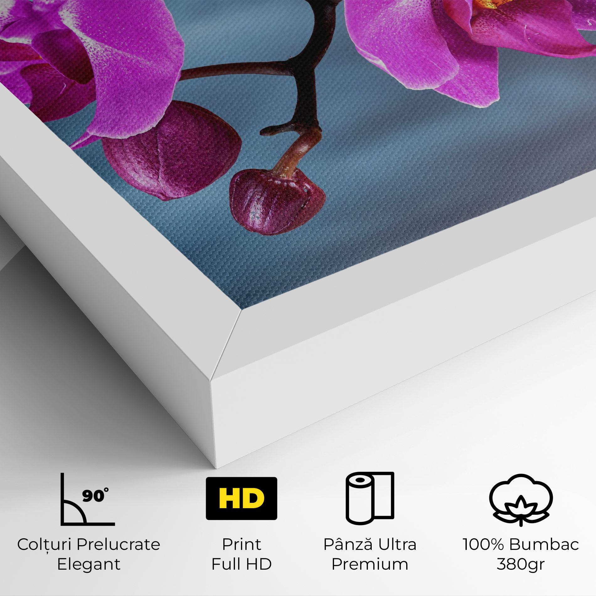 Tablou Canvas Sky Purple Orchid mockup 4