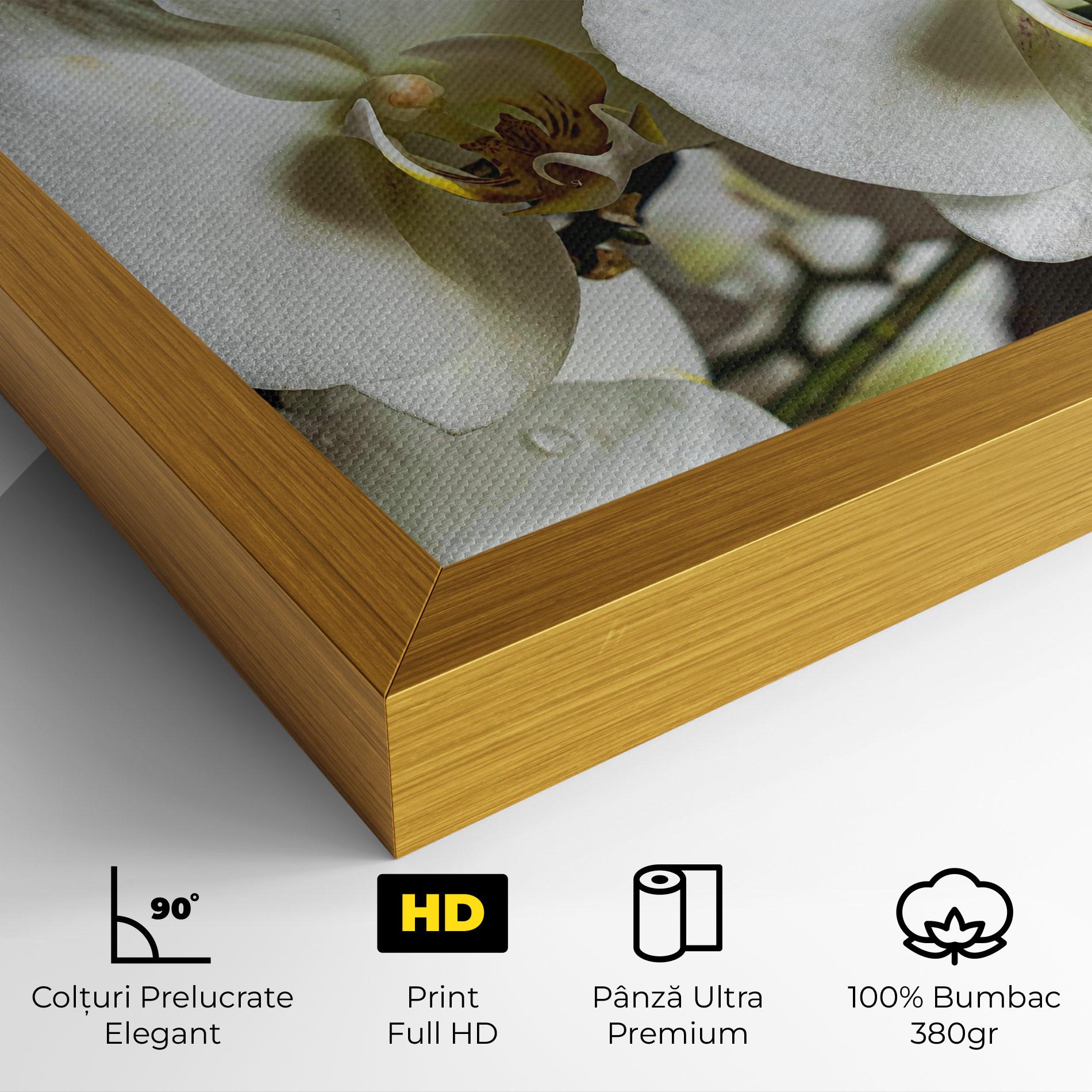 Tablou Canvas Beautiful White Orchids mockup 4