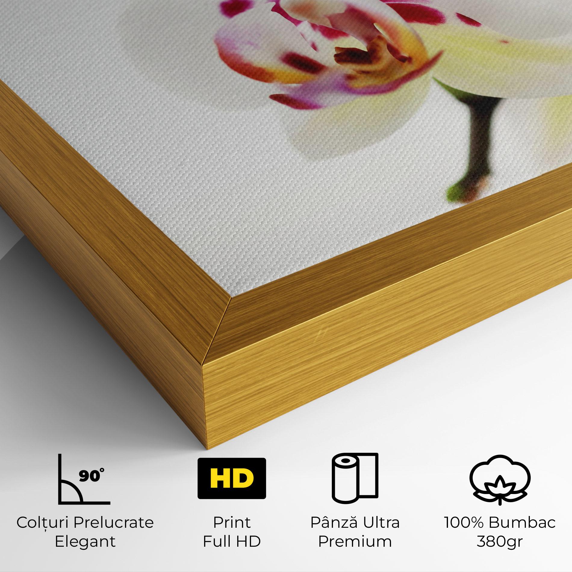 Tablou Canvas Clean White Orchid mockup 4