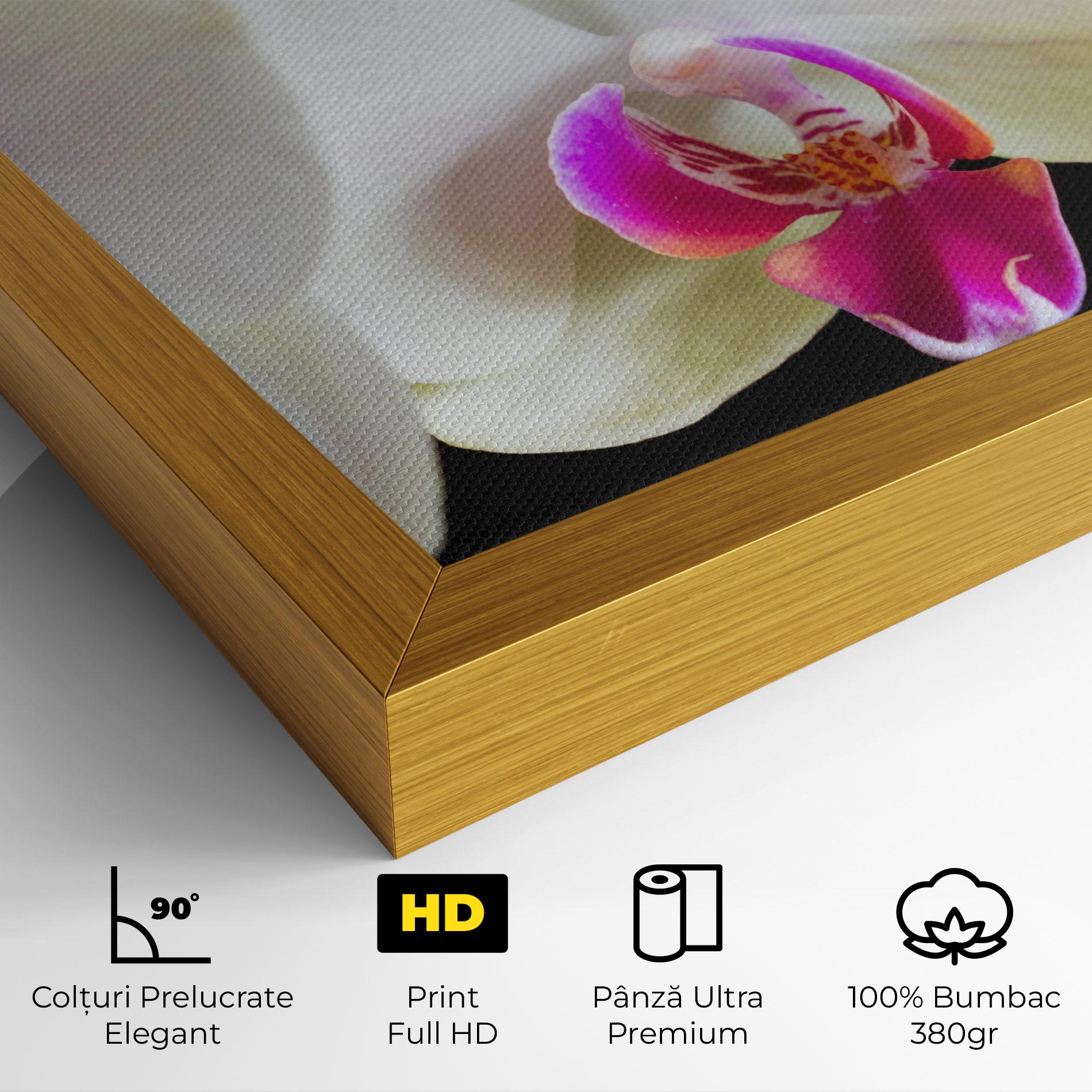 Tablou Canvas Cream Purple Orchids mockup 4