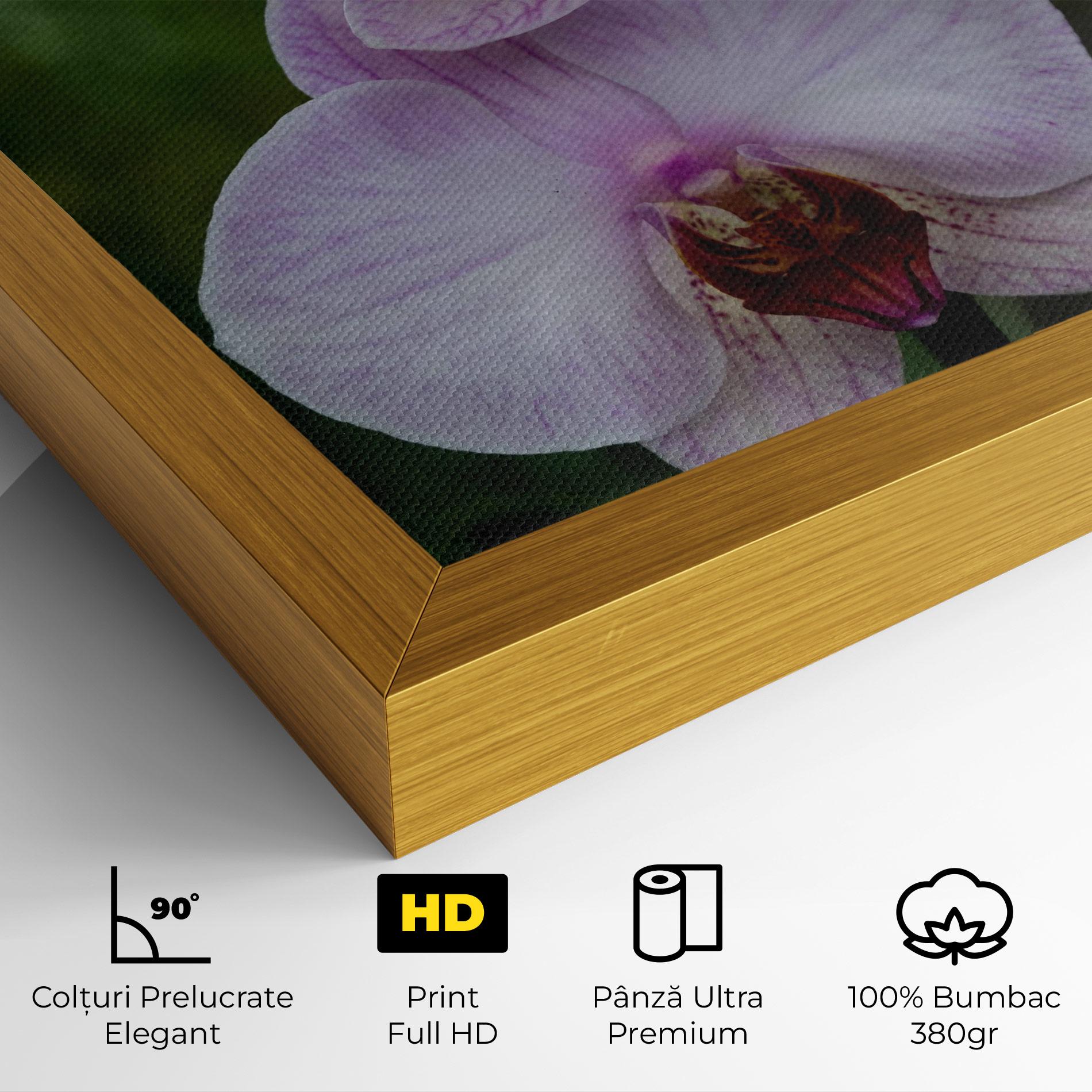 Tablou Canvas Garden Light Purple Orchid mockup 4