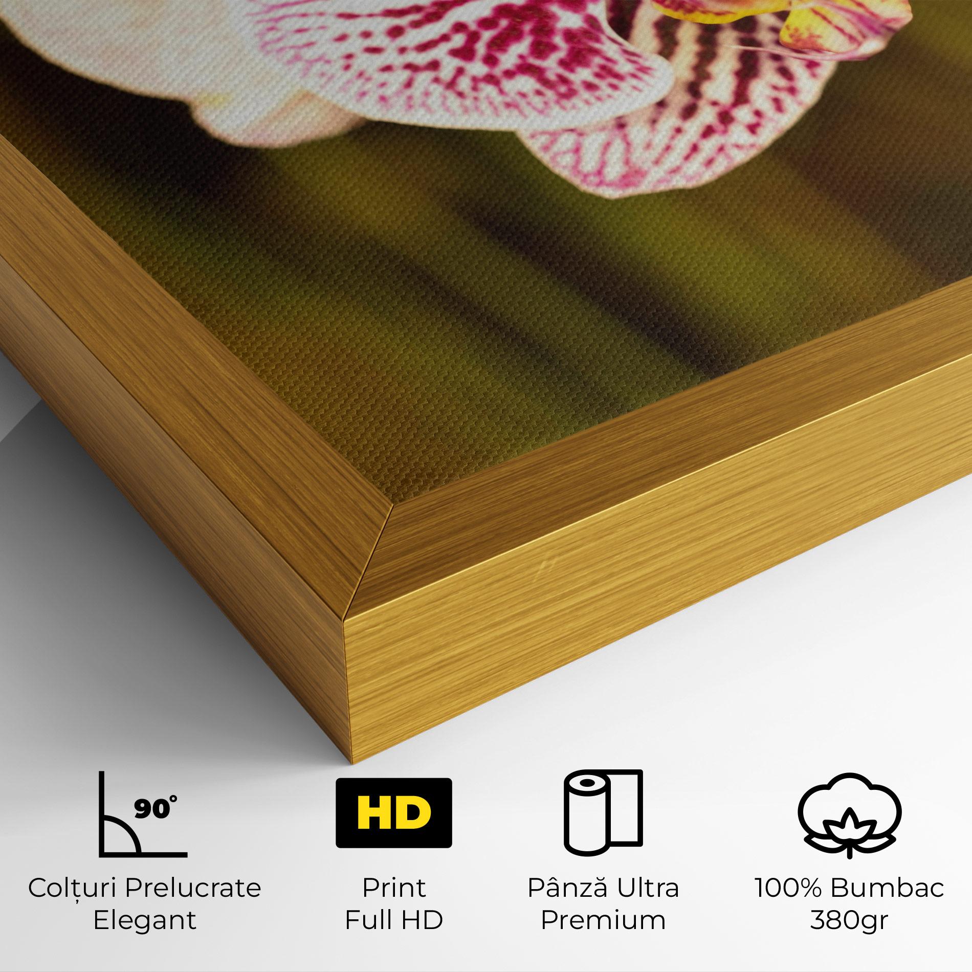 Tablou Canvas Garden Orchids mockup 4