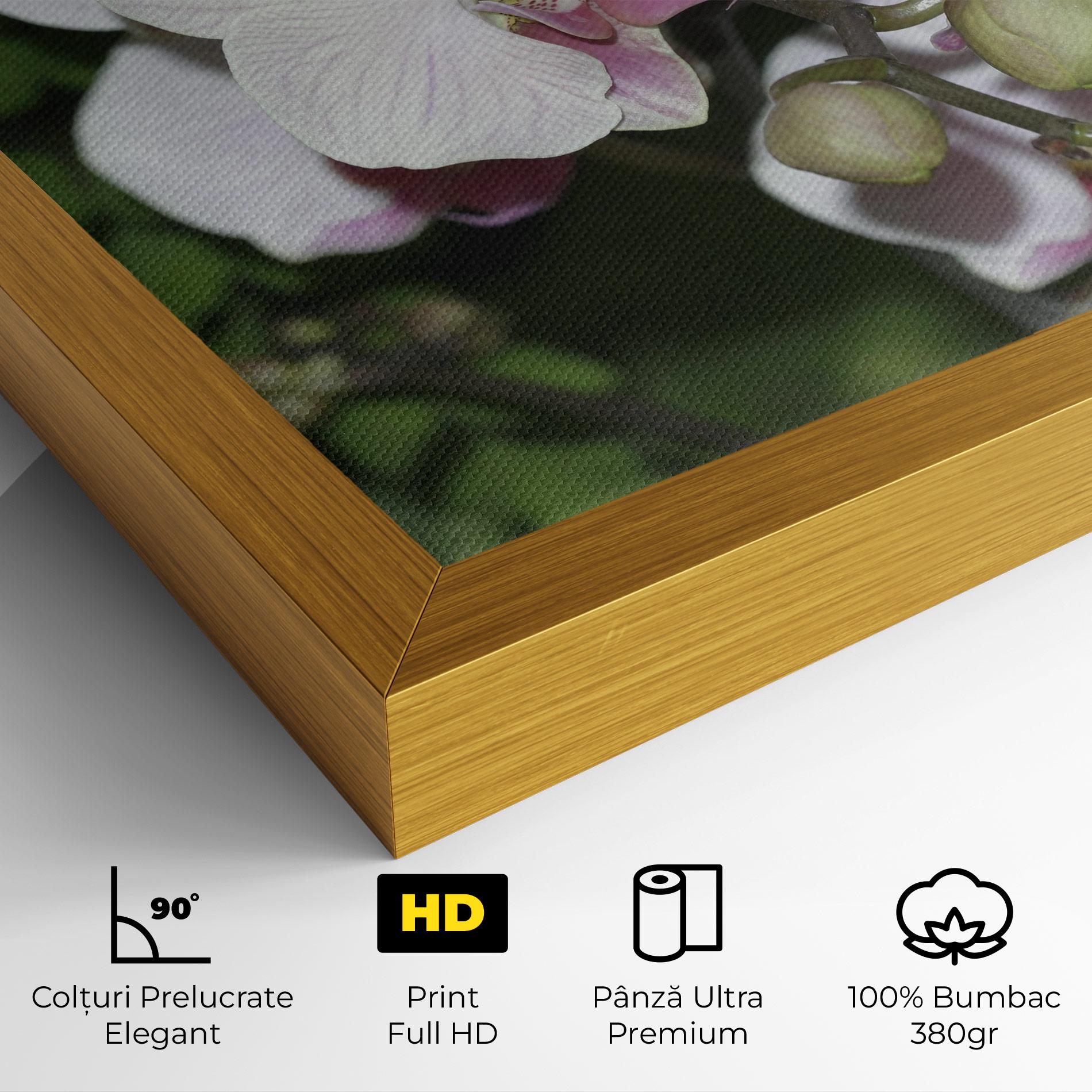 Tablou Canvas Orchid Botanical Garden mockup 4