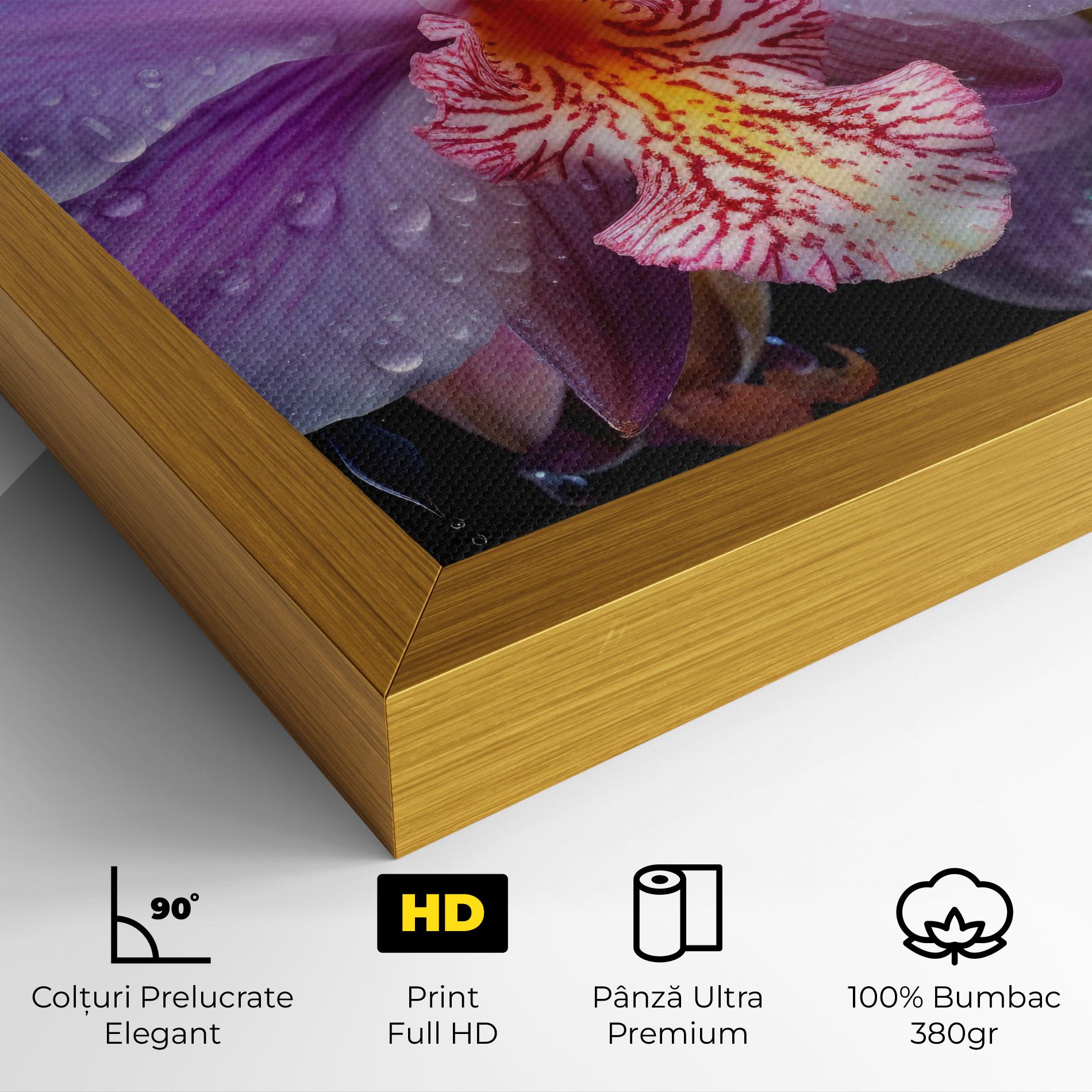 Tablou Canvas Orchid In Rain mockup 4