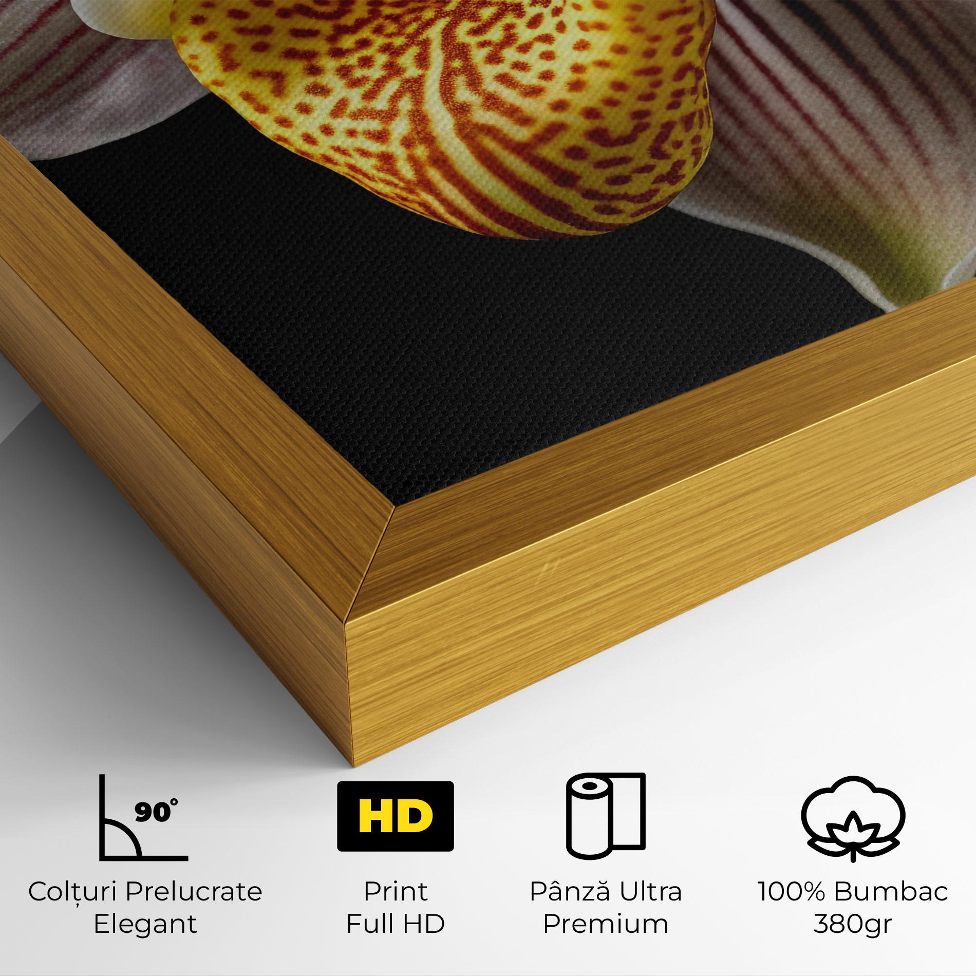 Tablou Canvas Orchid On Black mockup 4