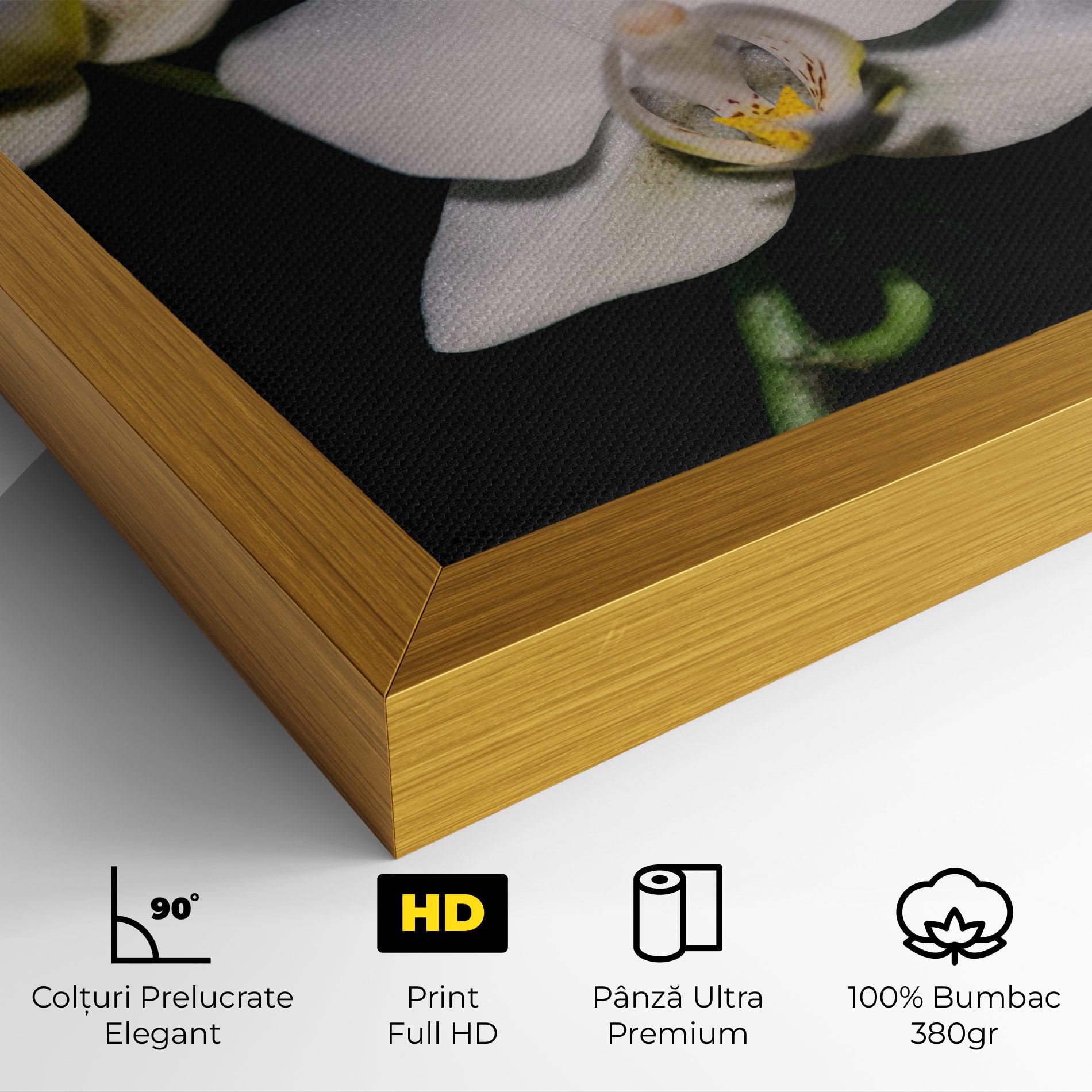Tablou Canvas Orchids On Black mockup 4