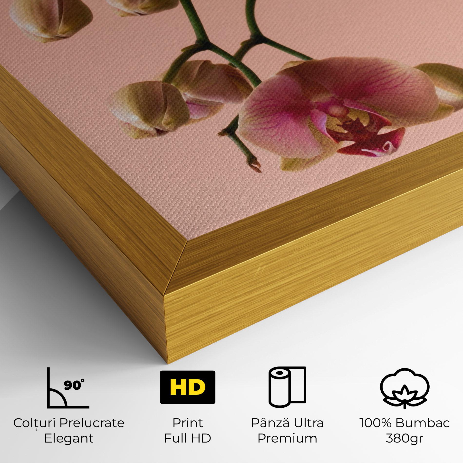 Tablou Canvas Orchids On Pink mockup 4
