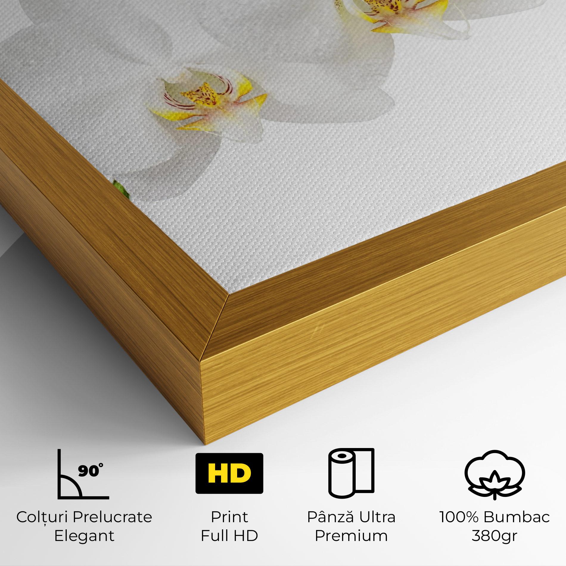 Tablou Canvas Orchids On White mockup 4