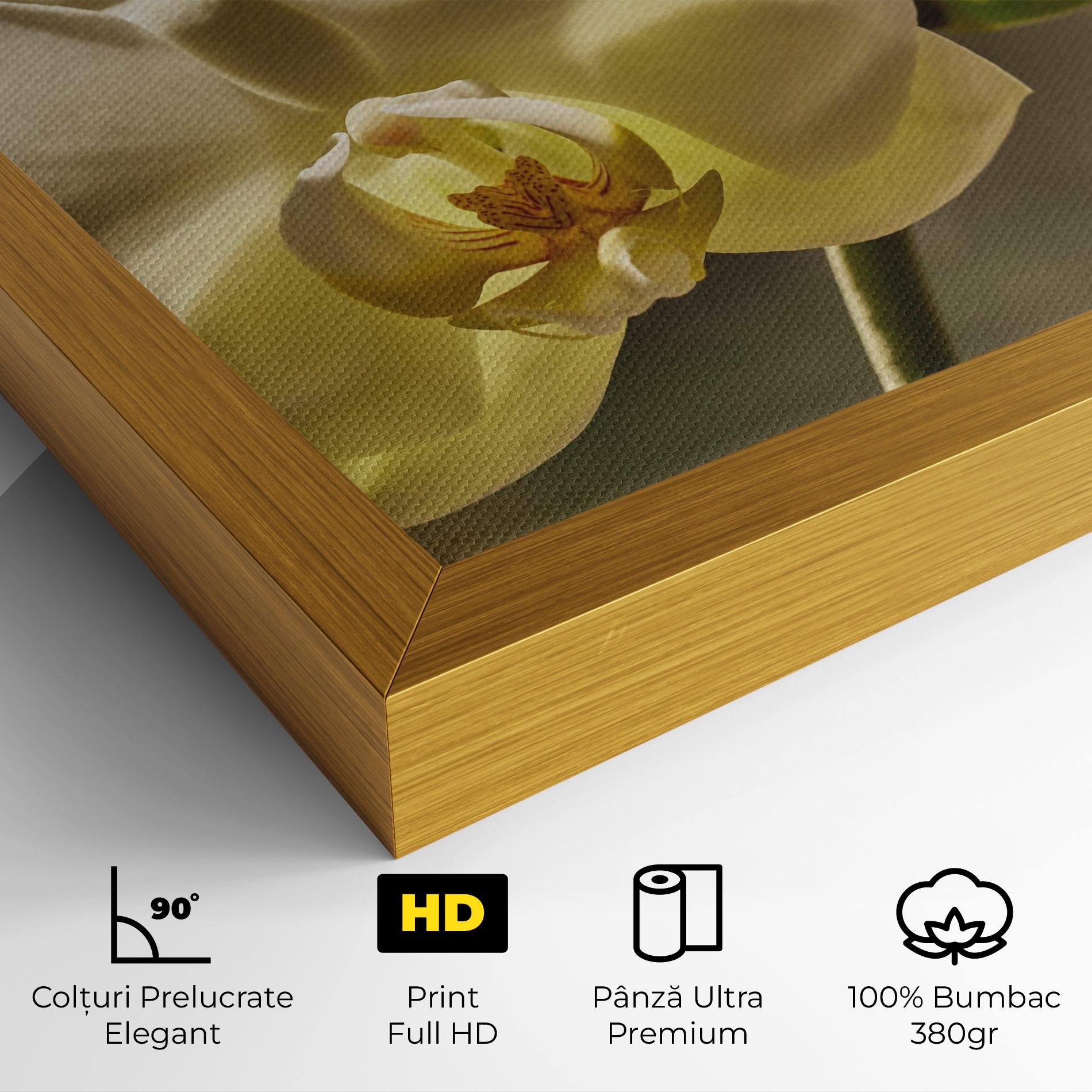 Tablou Canvas Pastel Yellow Orchid In Garden mockup 4
