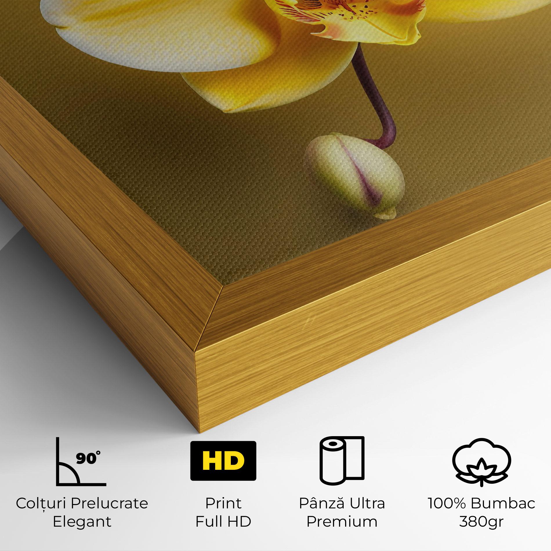 Tablou Canvas Pastel Yellow Orchid mockup 4