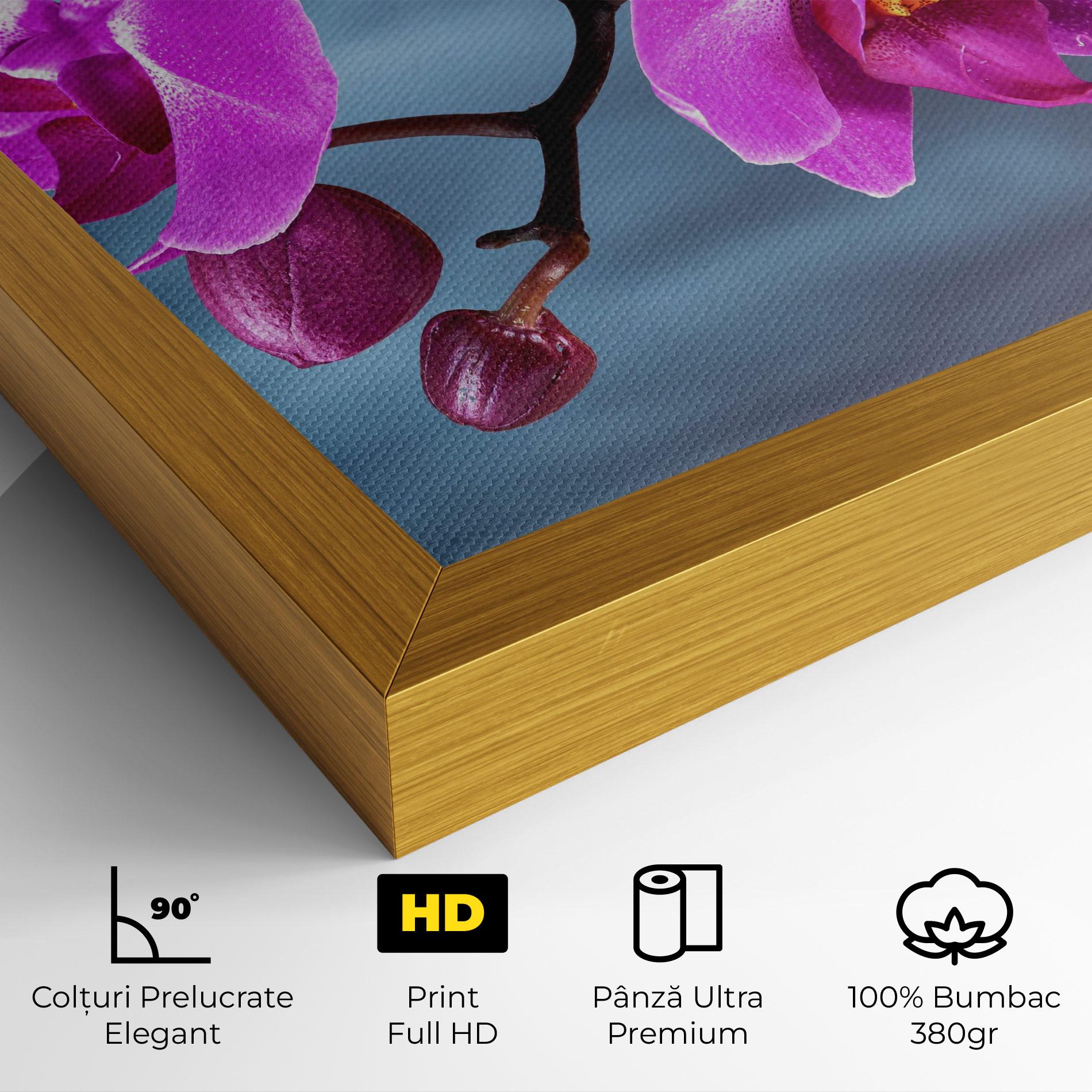 Tablou Canvas Sky Purple Orchid mockup 4