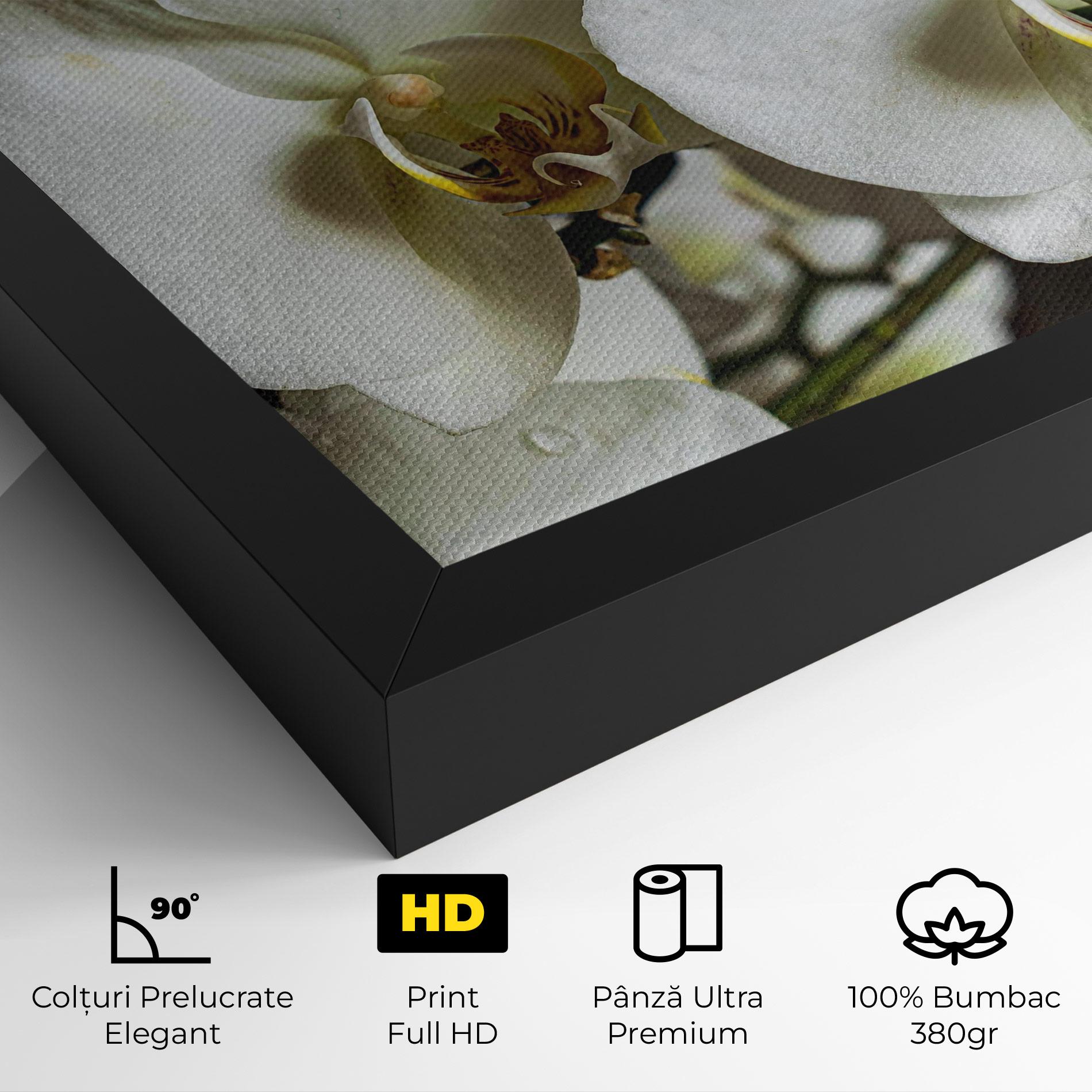 Tablou Canvas Beautiful White Orchids mockup 4