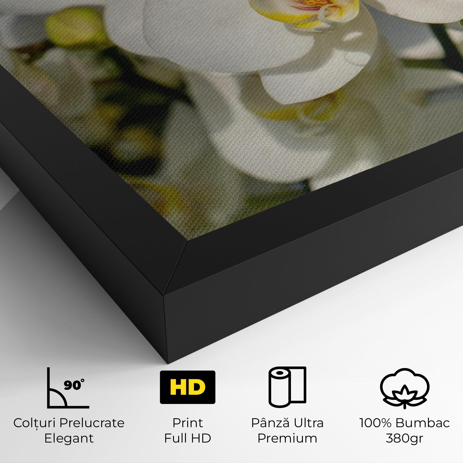 Tablou Canvas Big Orchids In Nature mockup 4