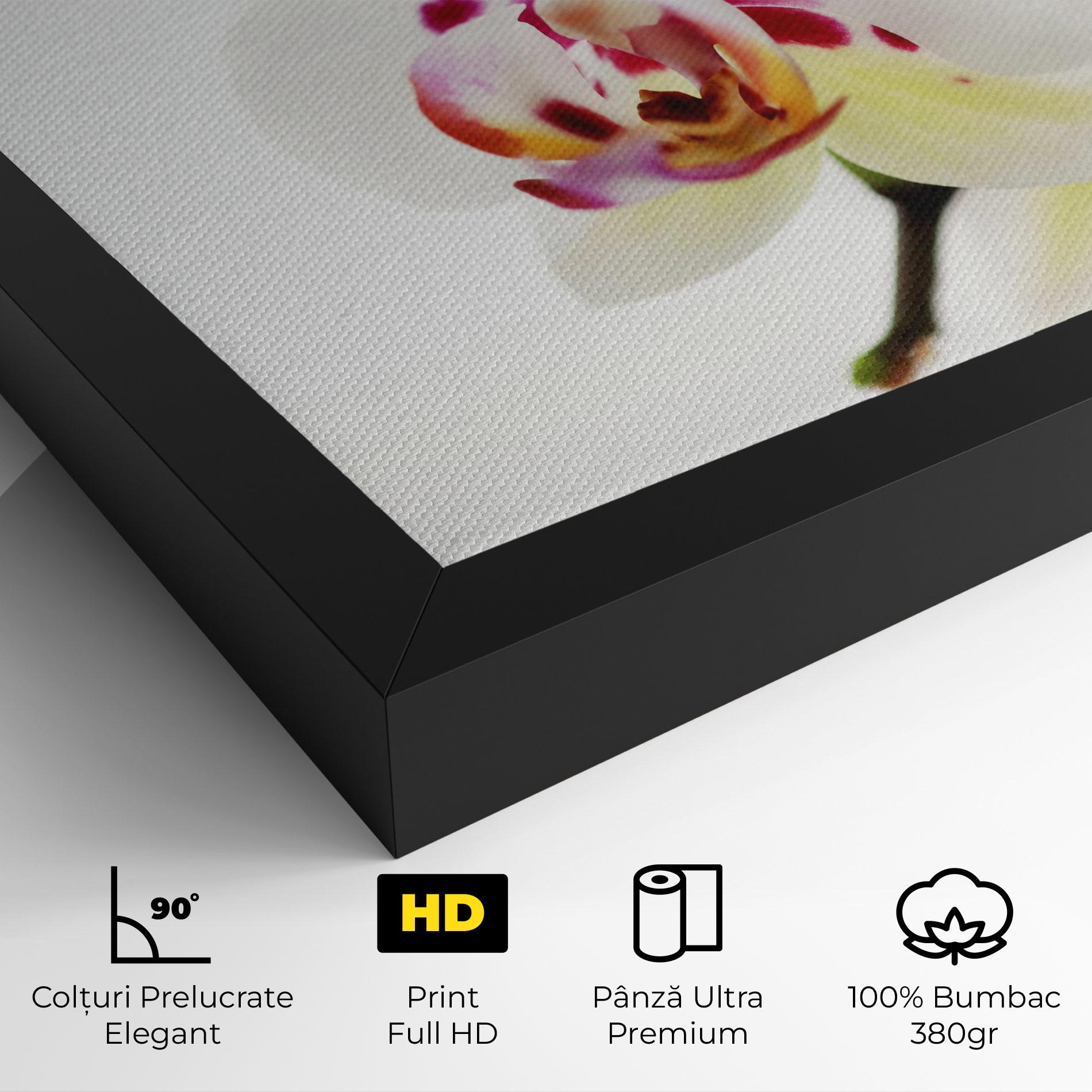 Tablou Canvas Clean White Orchid mockup 4