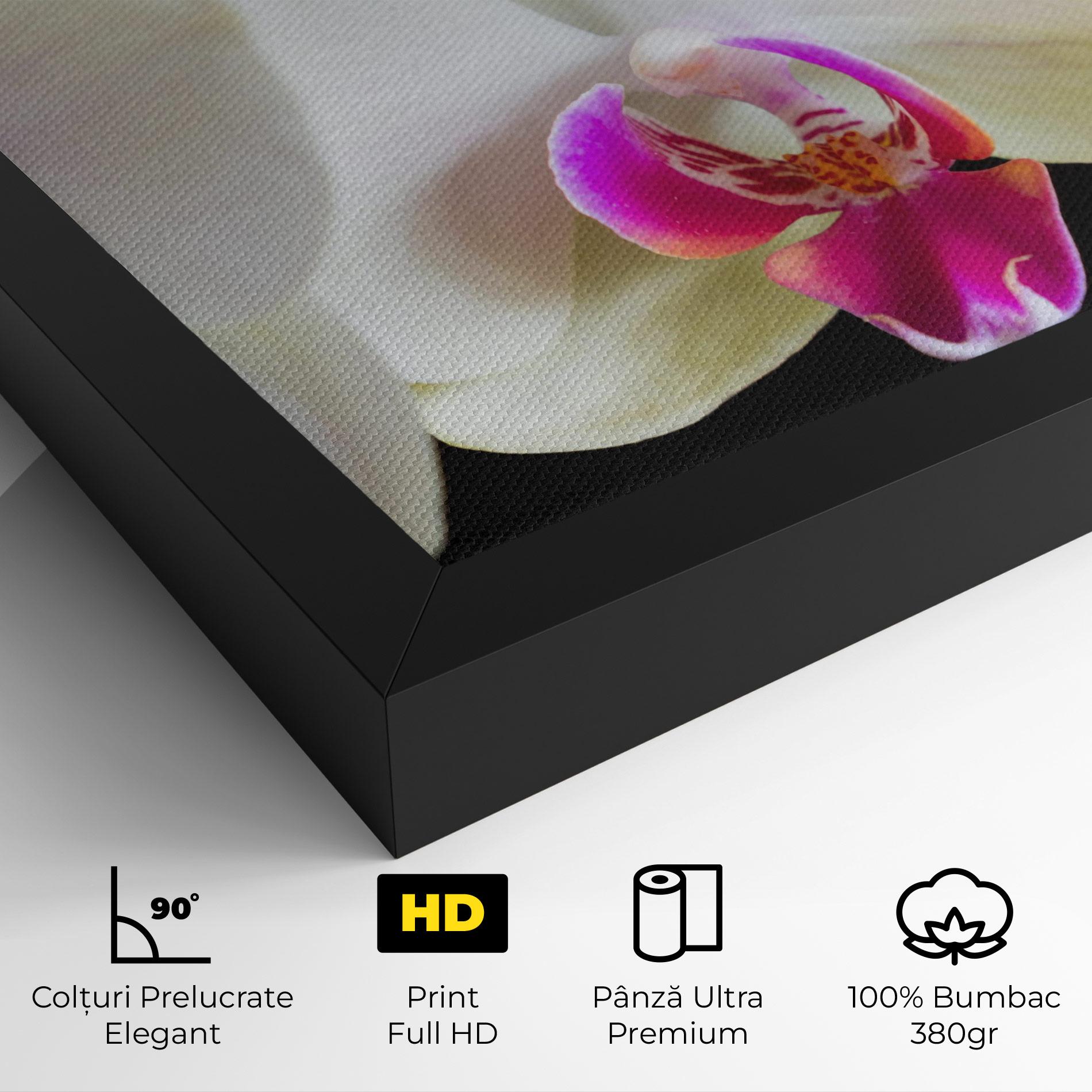 Tablou Canvas Cream Purple Orchids mockup 4