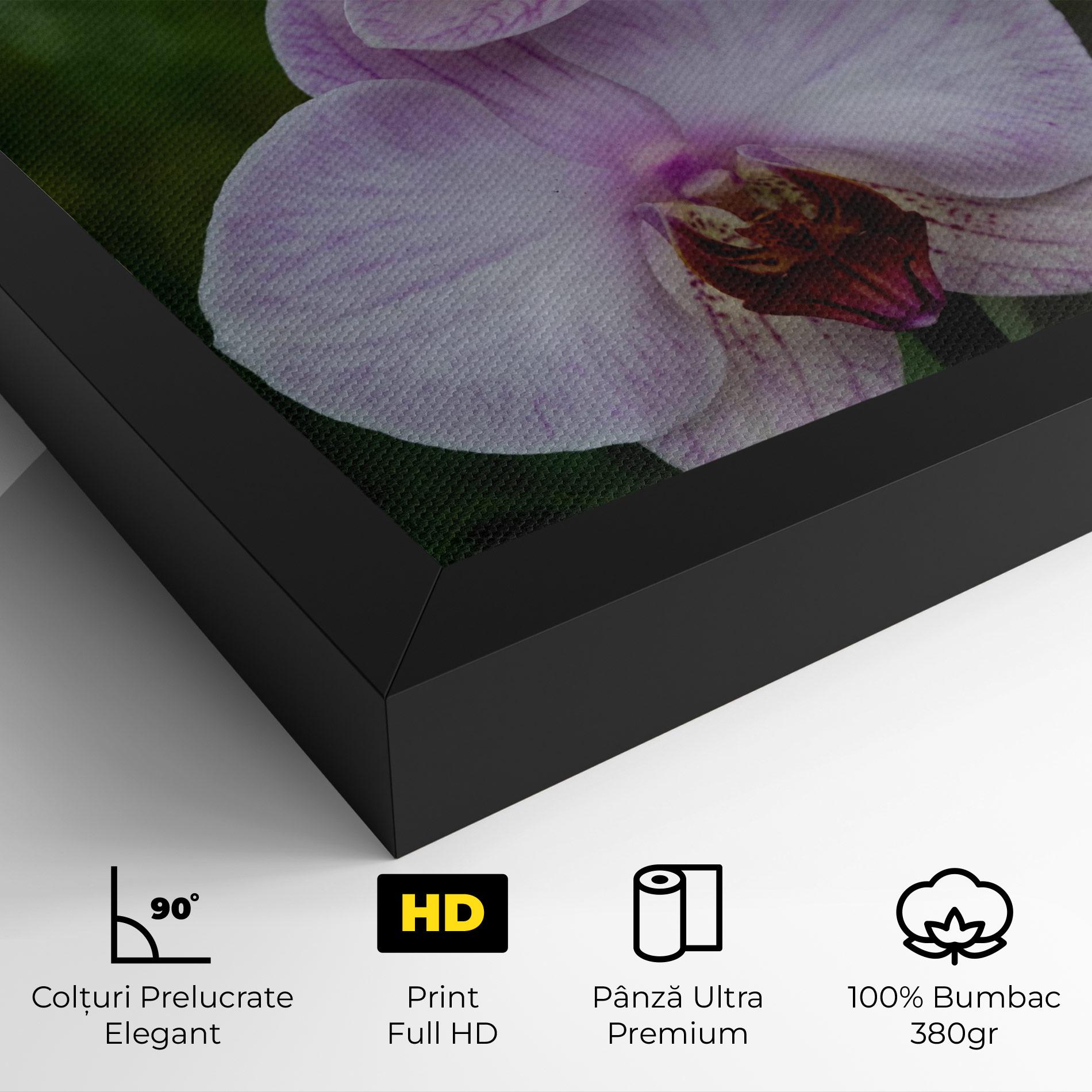 Tablou Canvas Garden Light Purple Orchid mockup 4