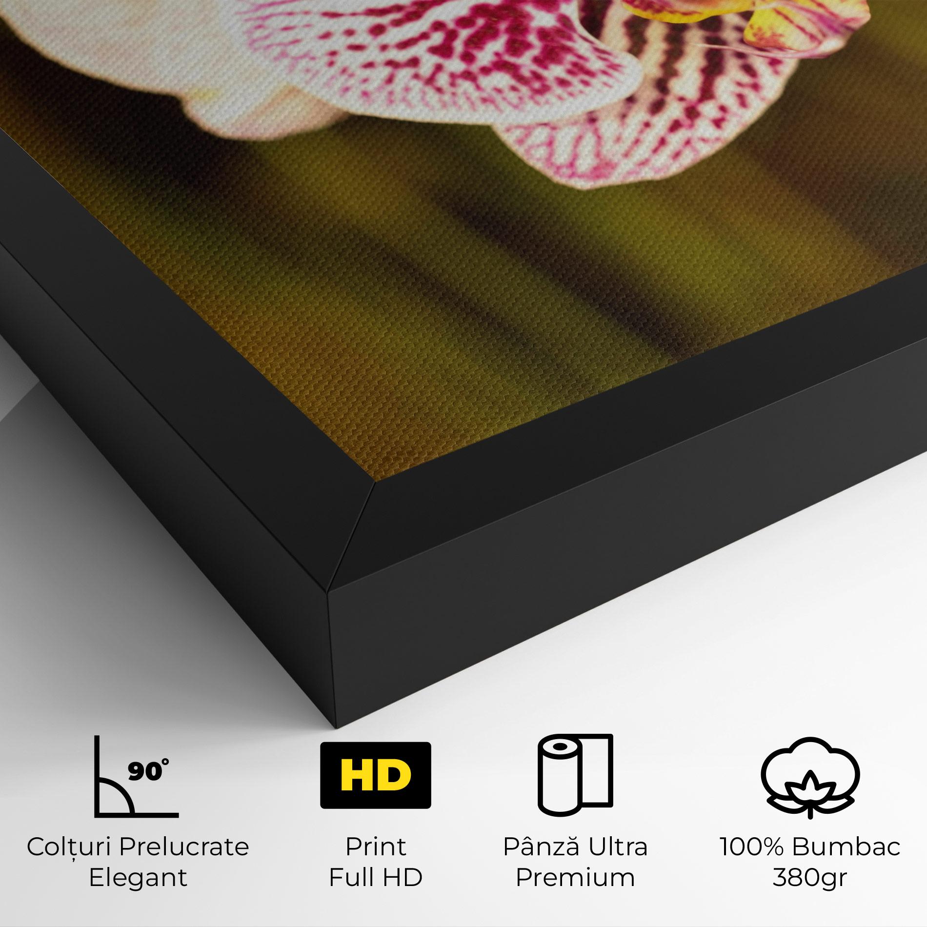 Tablou Canvas Garden Orchids mockup 4