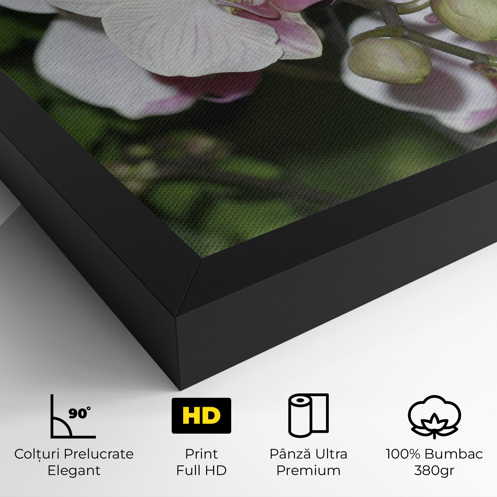 Tablou Canvas Orchid Botanical Garden mockup 4