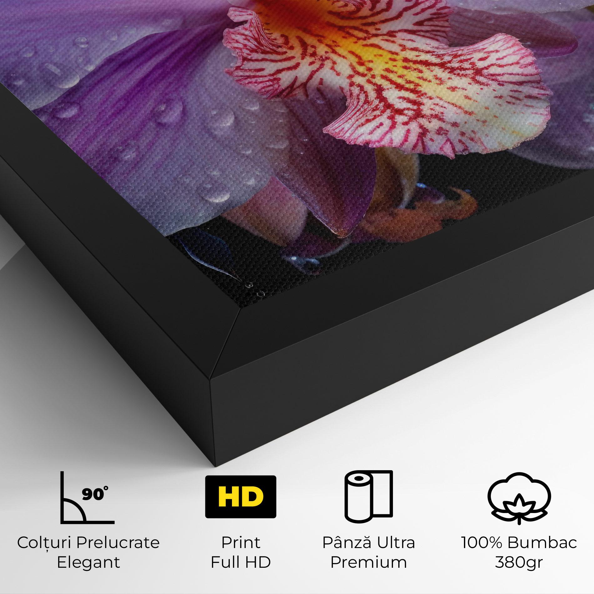 Tablou Canvas Orchid In Rain mockup 4