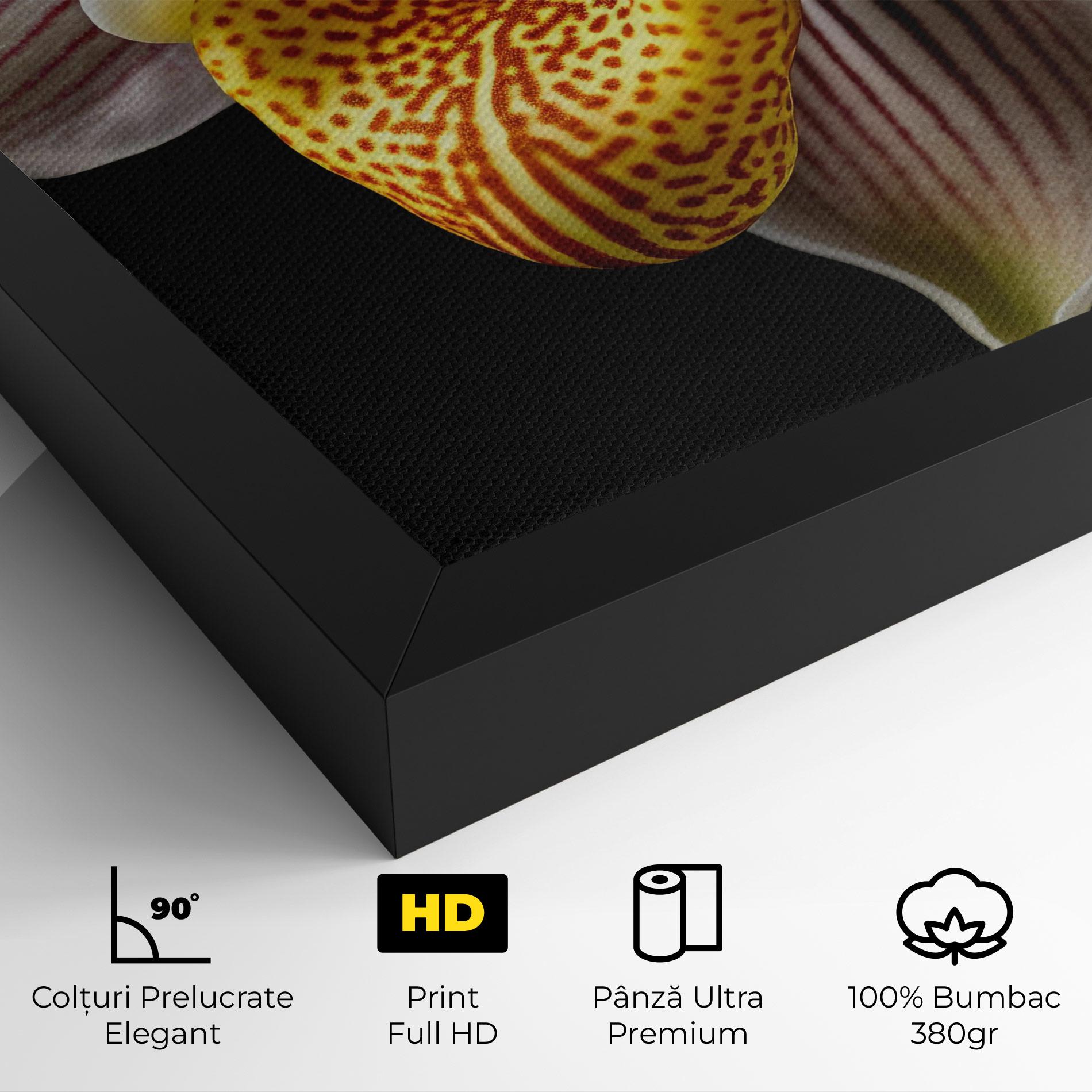 Tablou Canvas Orchid On Black mockup 4