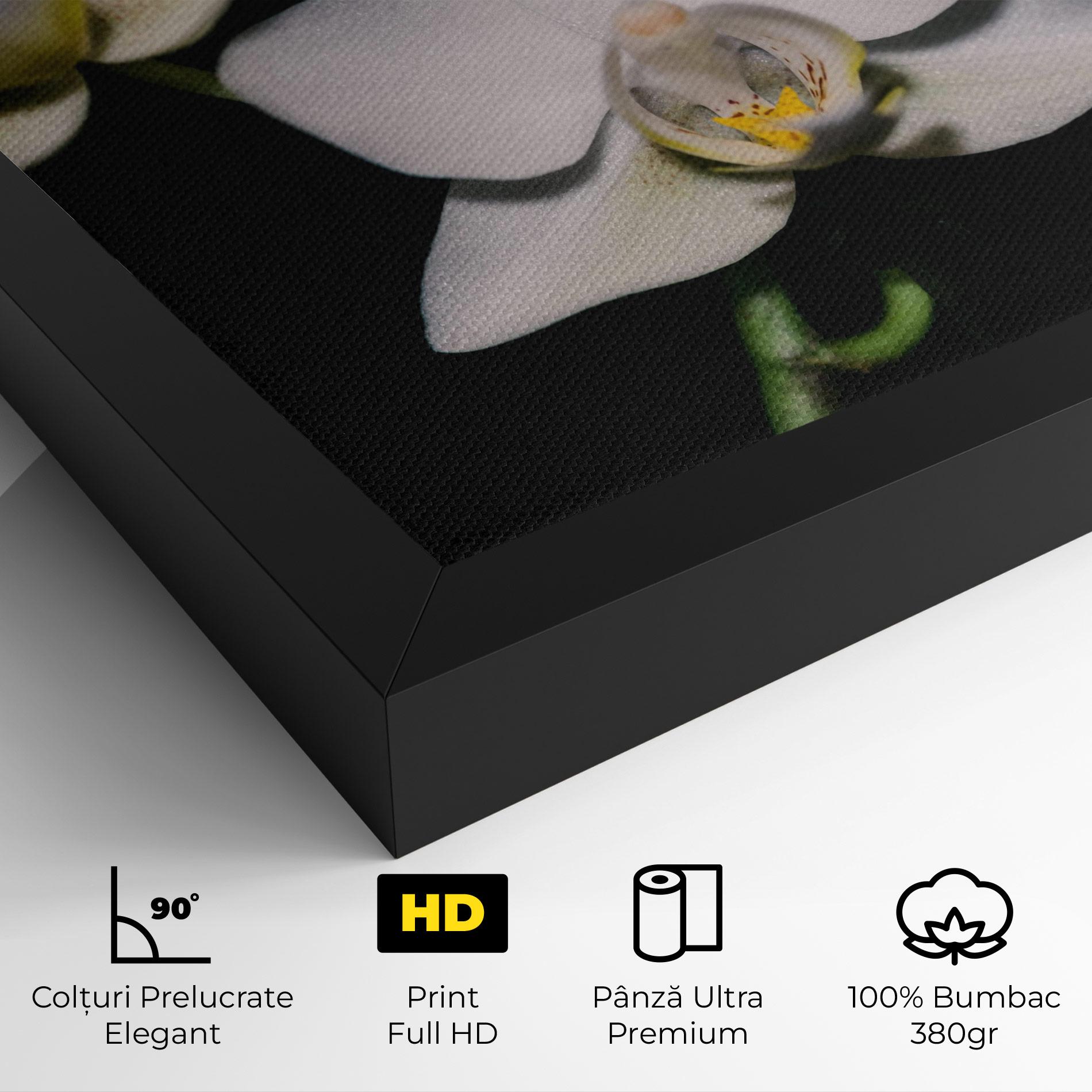 Tablou Canvas Orchids On Black mockup 4