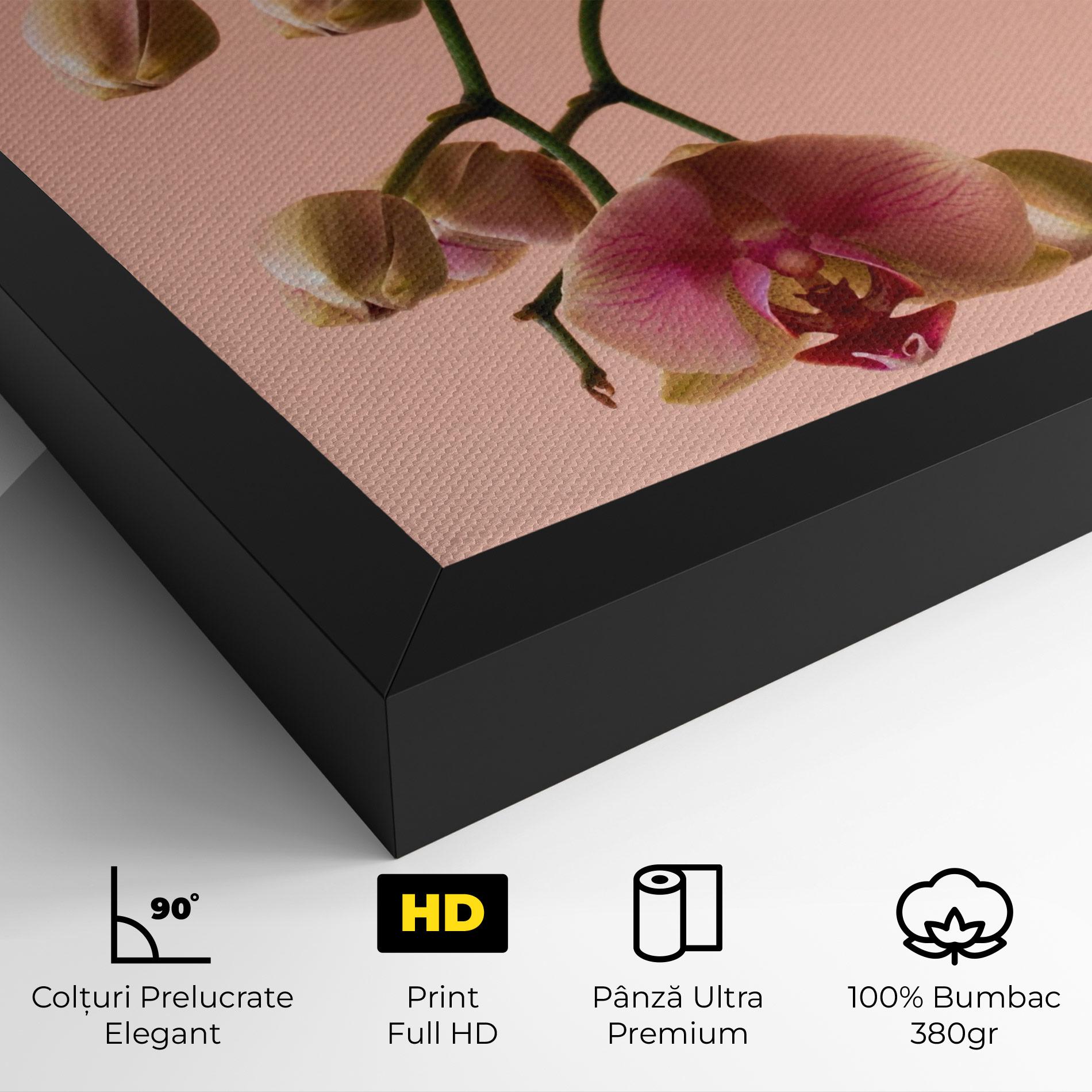 Tablou Canvas Orchids On Pink mockup 4