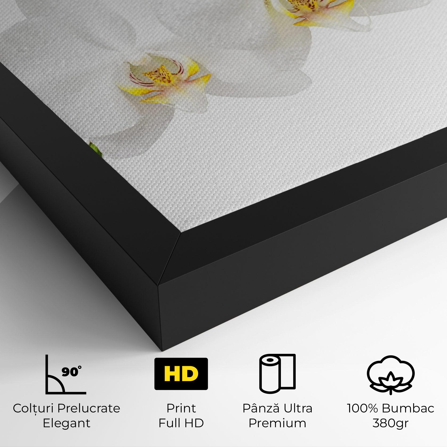Tablou Canvas Orchids On White mockup 4