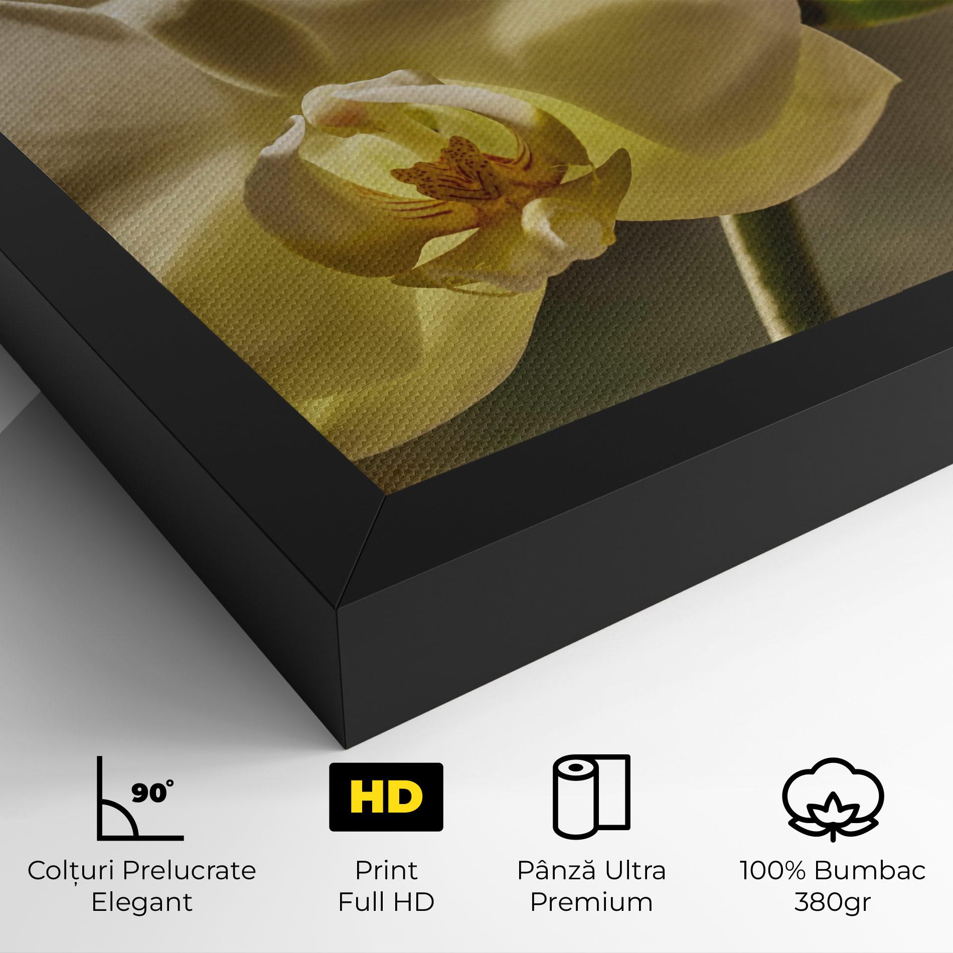 Tablou Canvas Pastel Yellow Orchid In Garden mockup 4