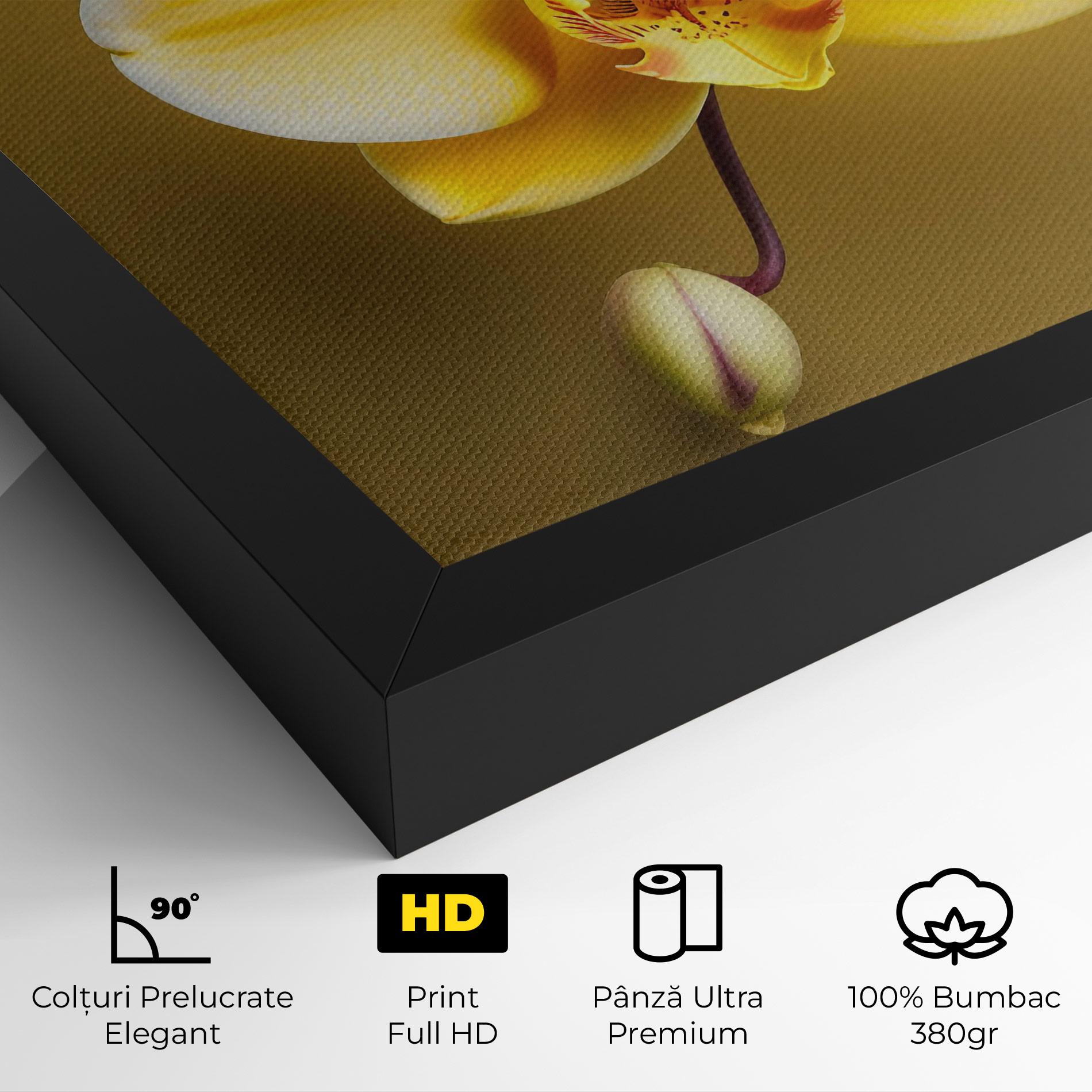 Tablou Canvas Pastel Yellow Orchid mockup 4