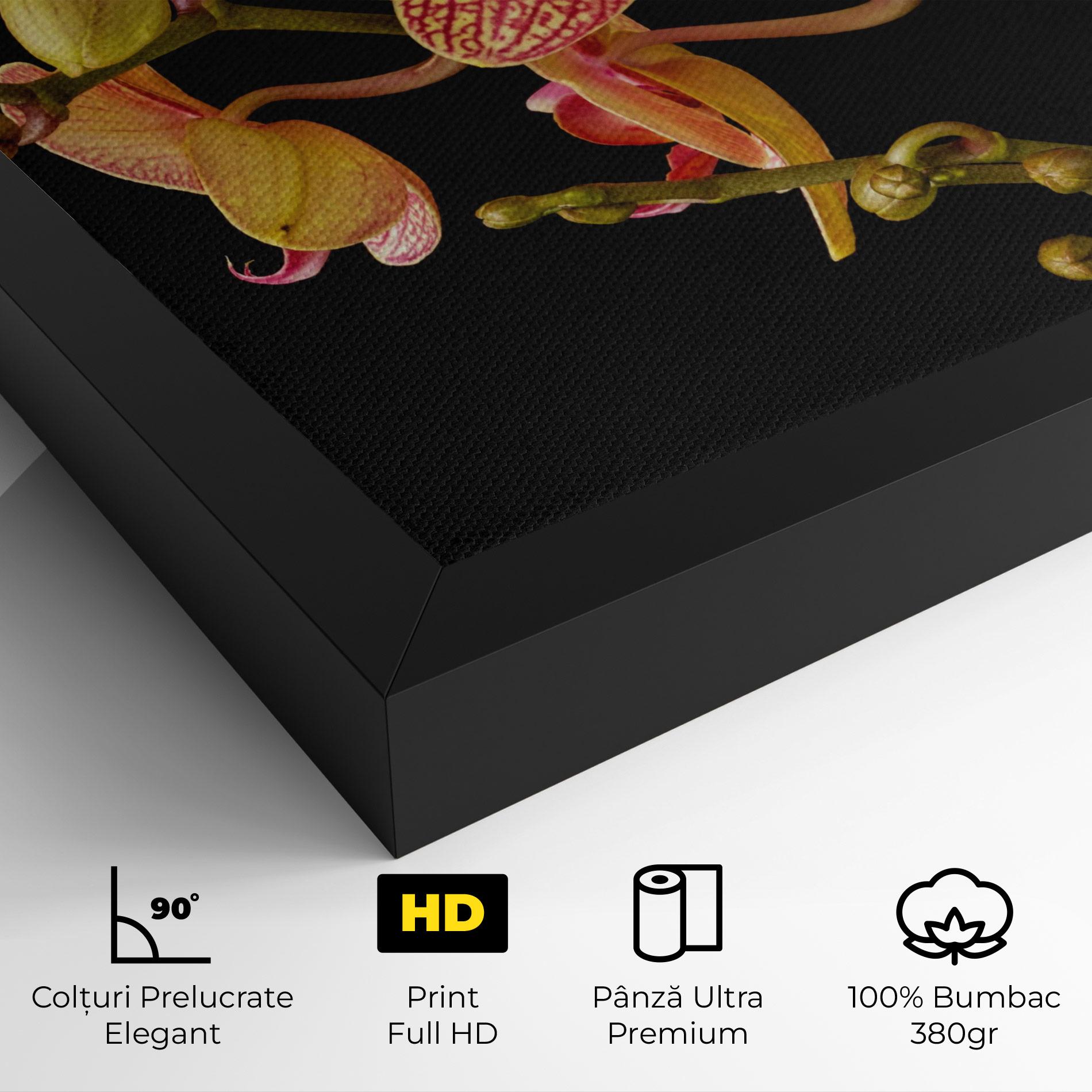 Tablou Canvas Pink Orchids On Black mockup 4
