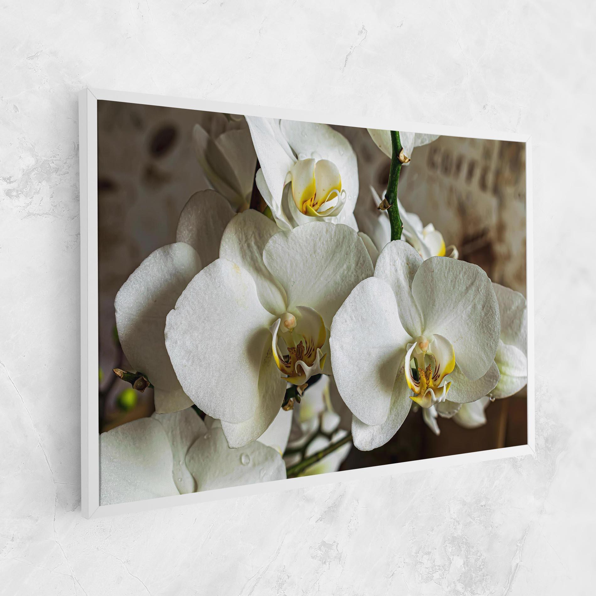 Tablou Canvas Beautiful White Orchids mockup 1