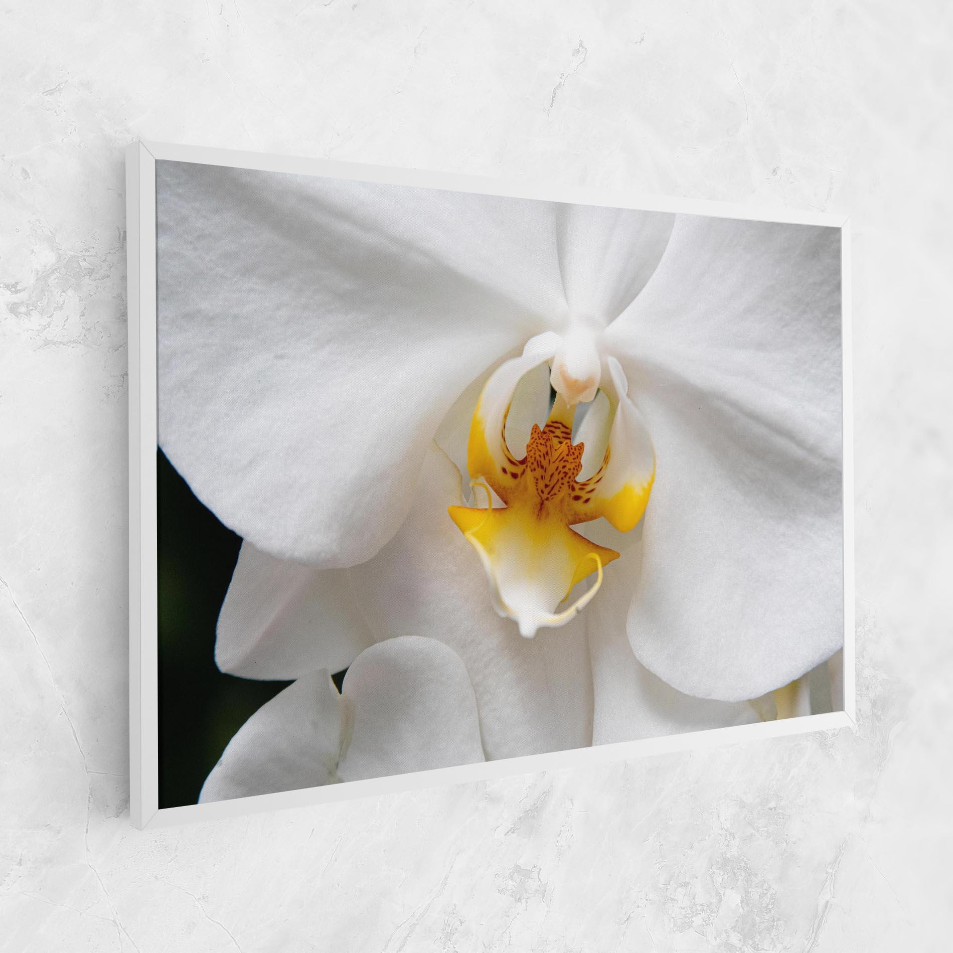 Tablou Canvas Big Orchid Close Up mockup 1