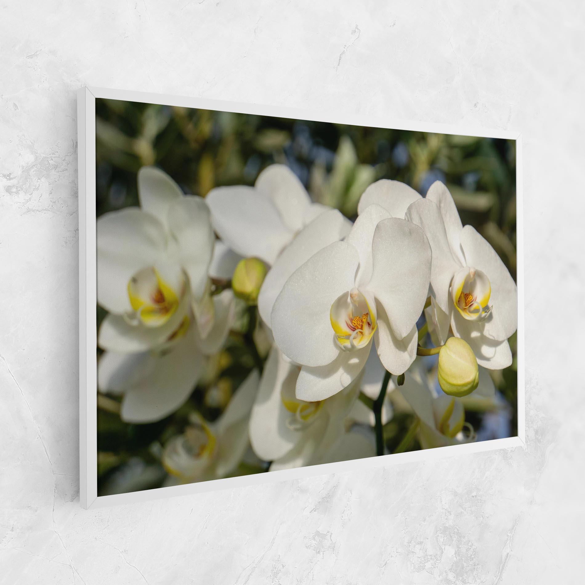 Tablou Canvas Big Orchids In Nature mockup 1