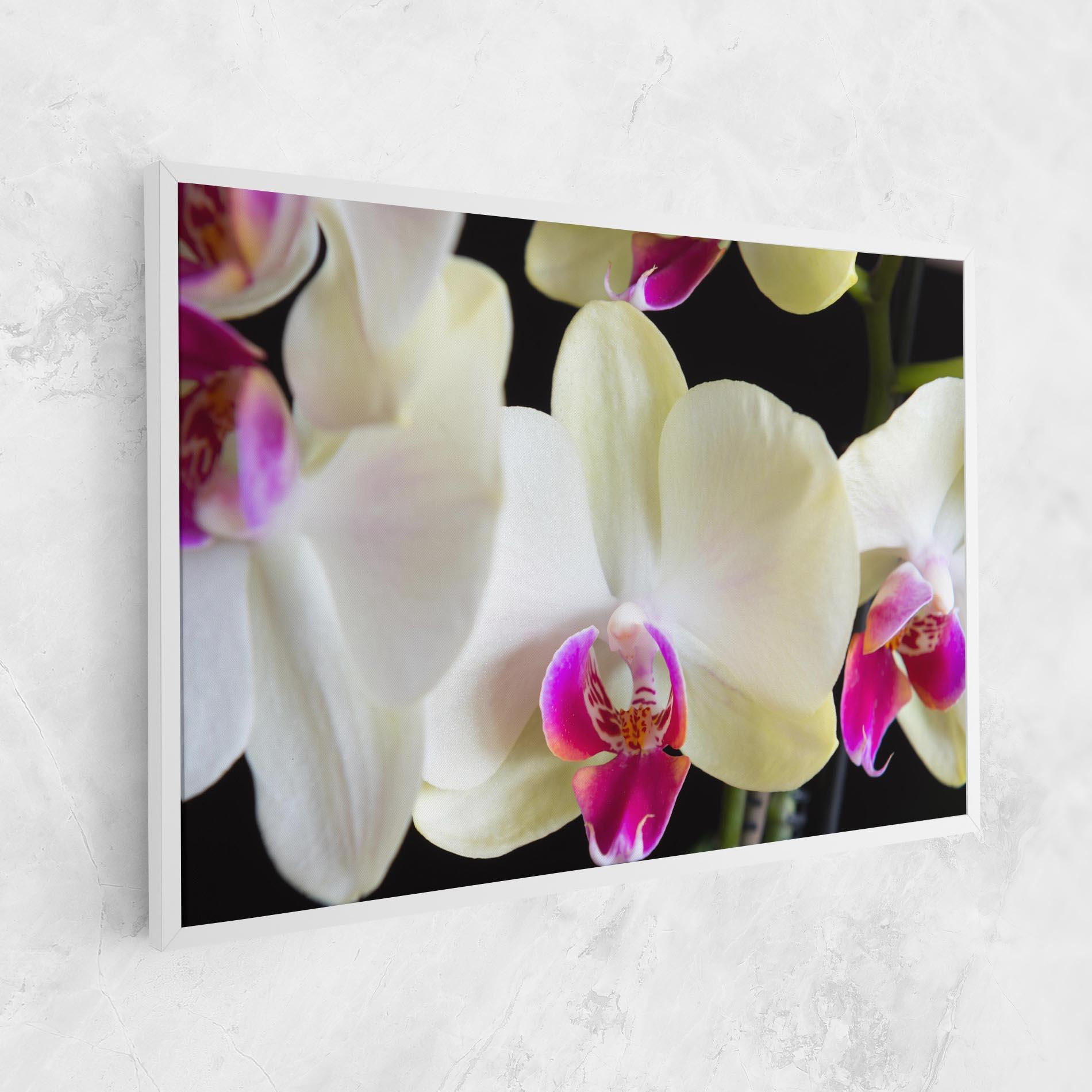 Tablou Canvas Cream Purple Orchids mockup 1