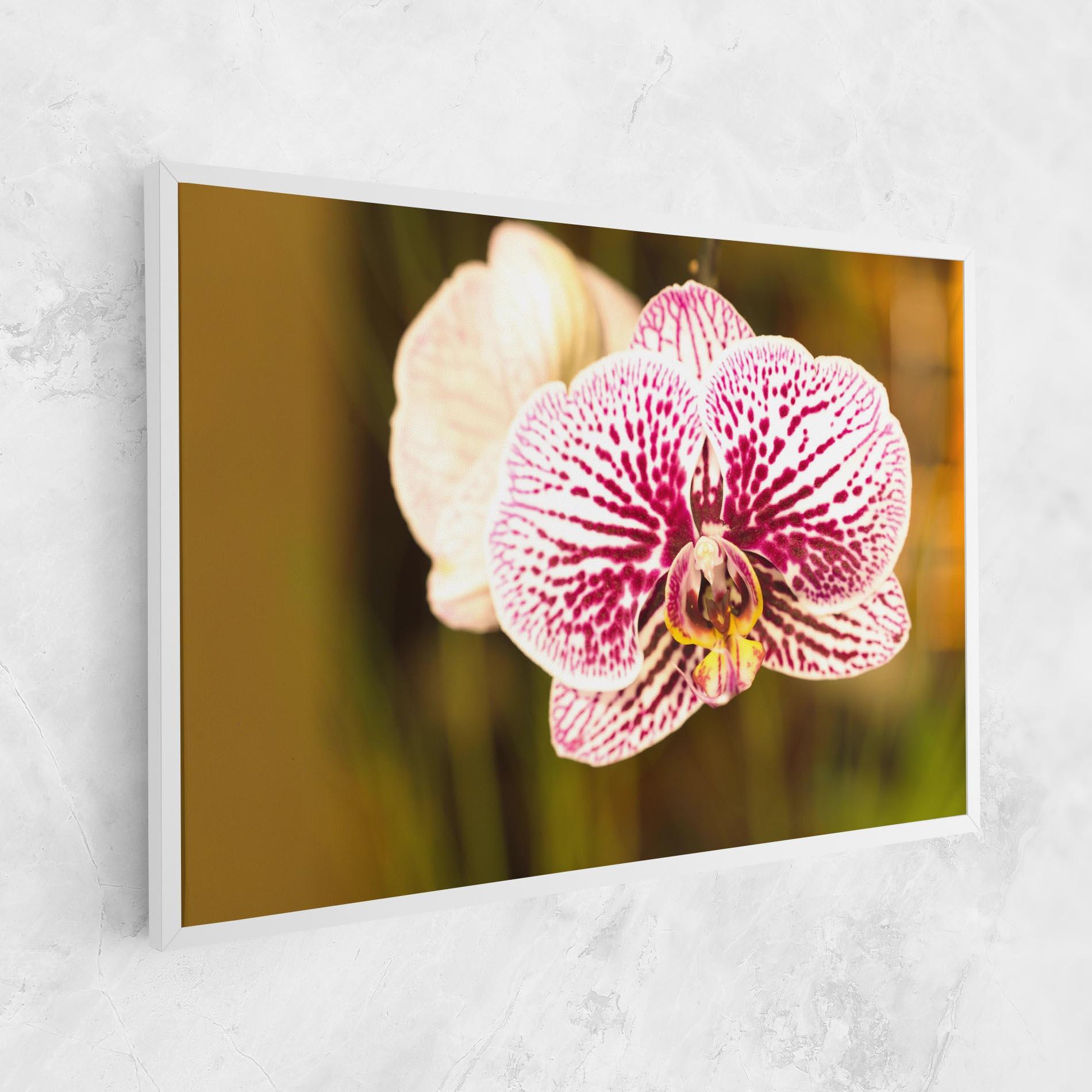 Tablou Canvas Garden Orchids mockup 1