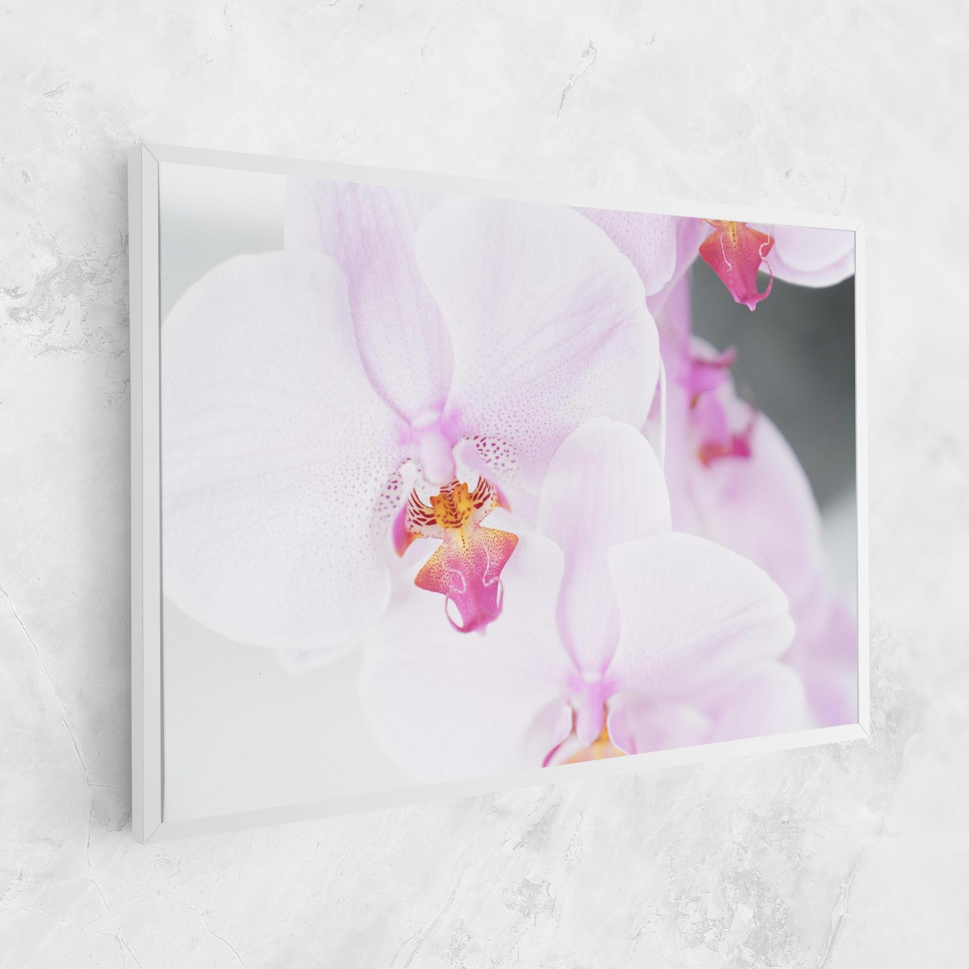 Tablou Canvas Light Purple Orchid mockup 1