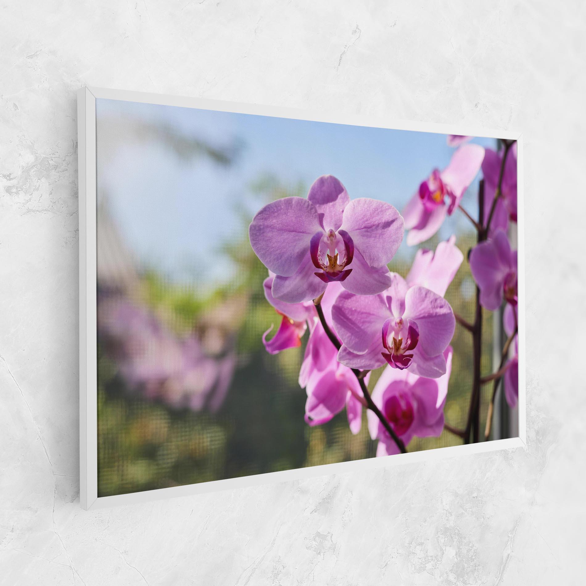 Tablou Canvas Orchids In The Garden mockup 1