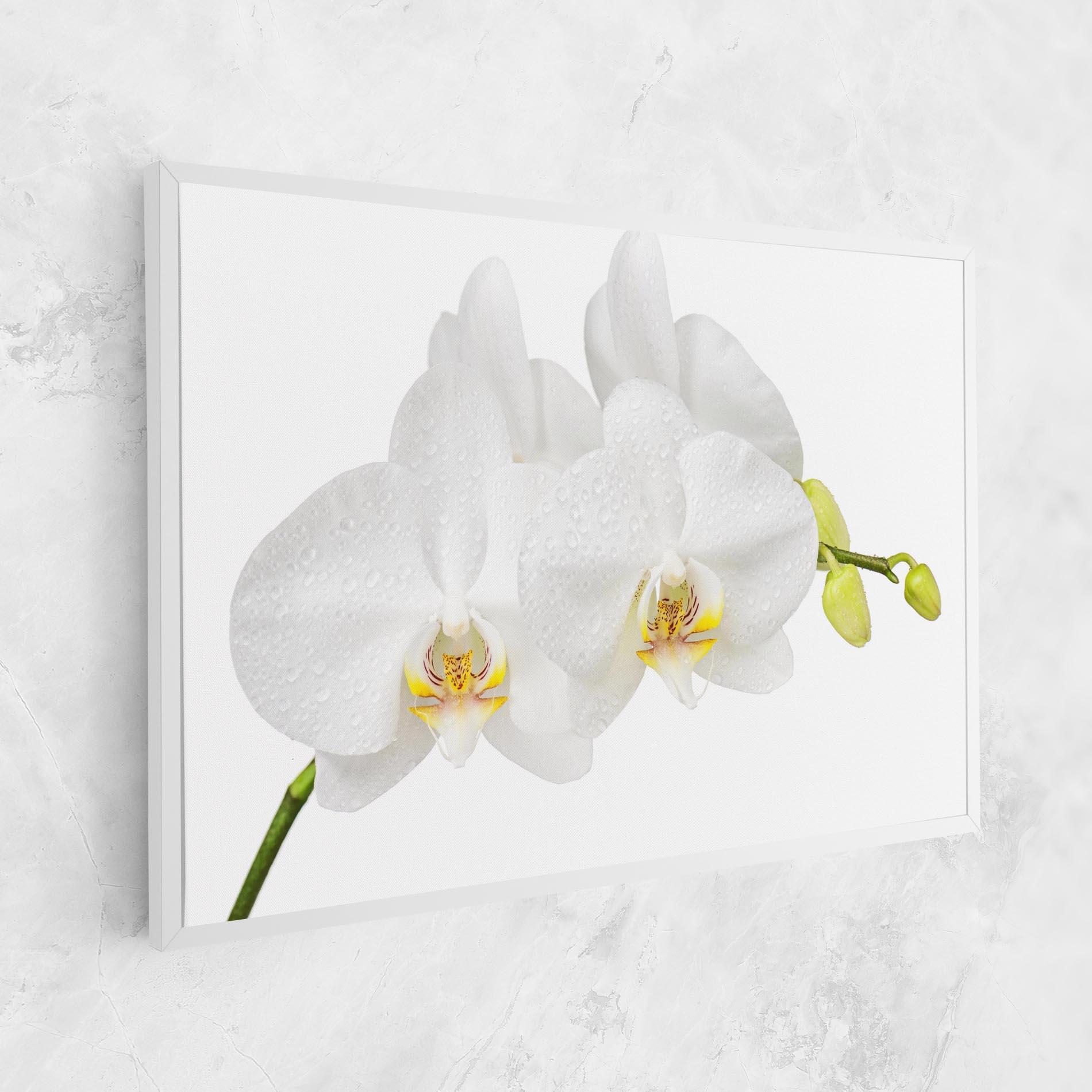 Tablou Canvas Orchids On White mockup 1