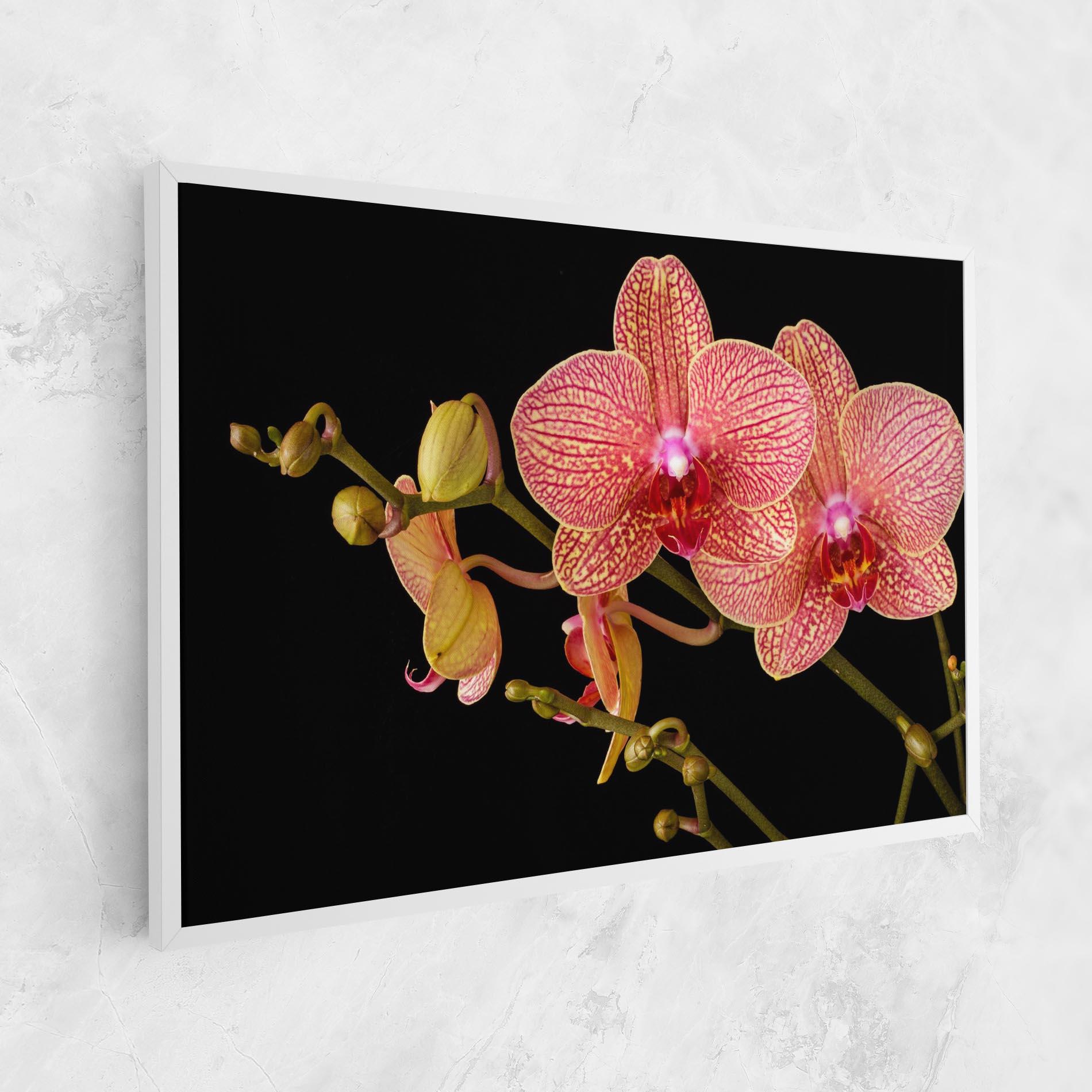 Tablou Canvas Pink Orchids On Black mockup 1