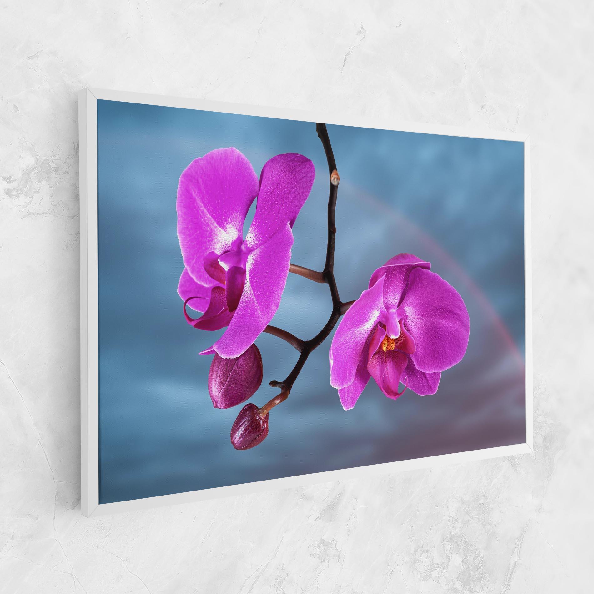 Tablou Canvas Sky Purple Orchid mockup 1