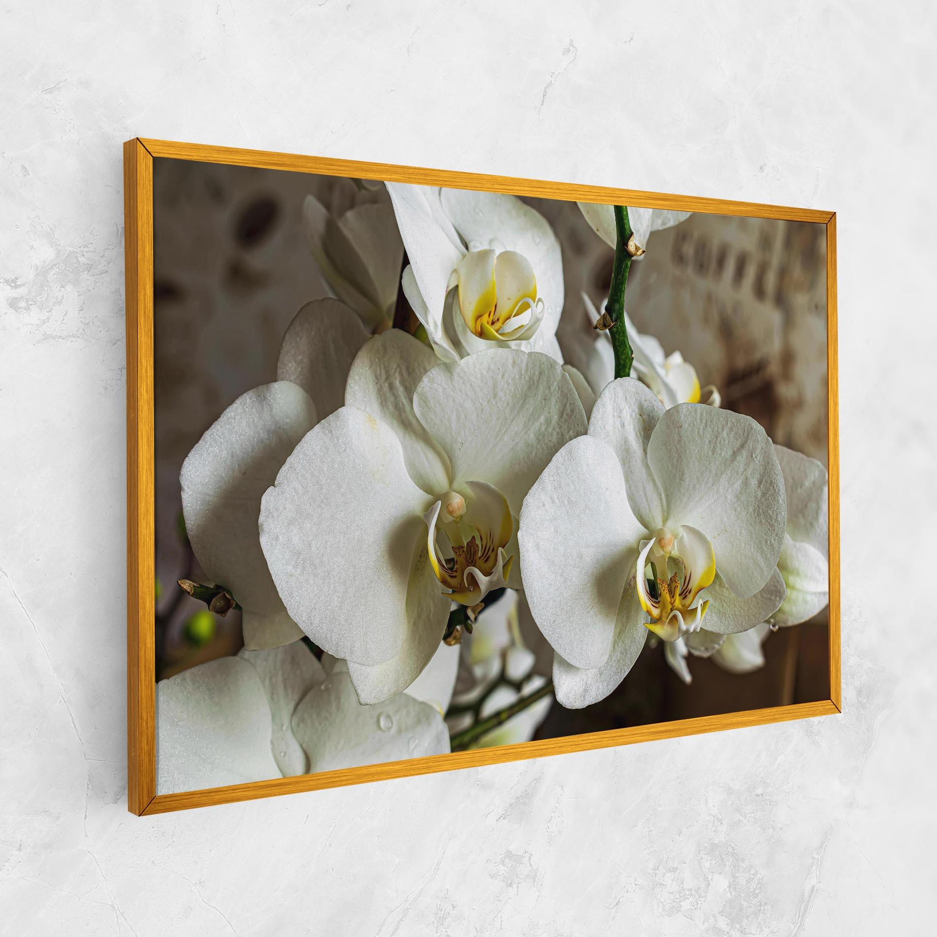 Tablou Canvas Beautiful White Orchids mockup 1