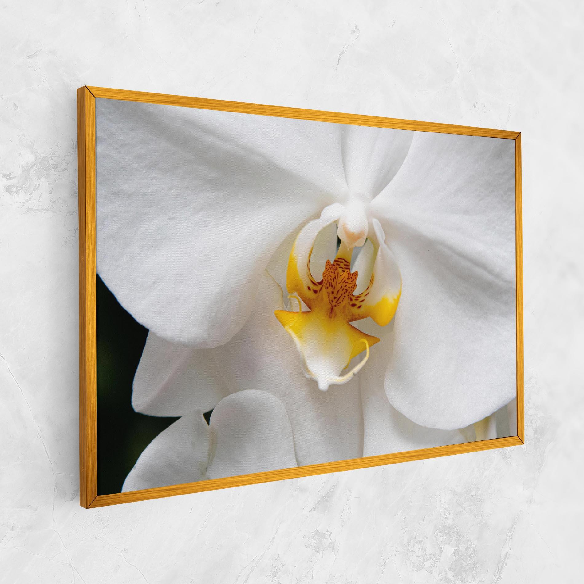 Tablou Canvas Big Orchid Close Up mockup 1