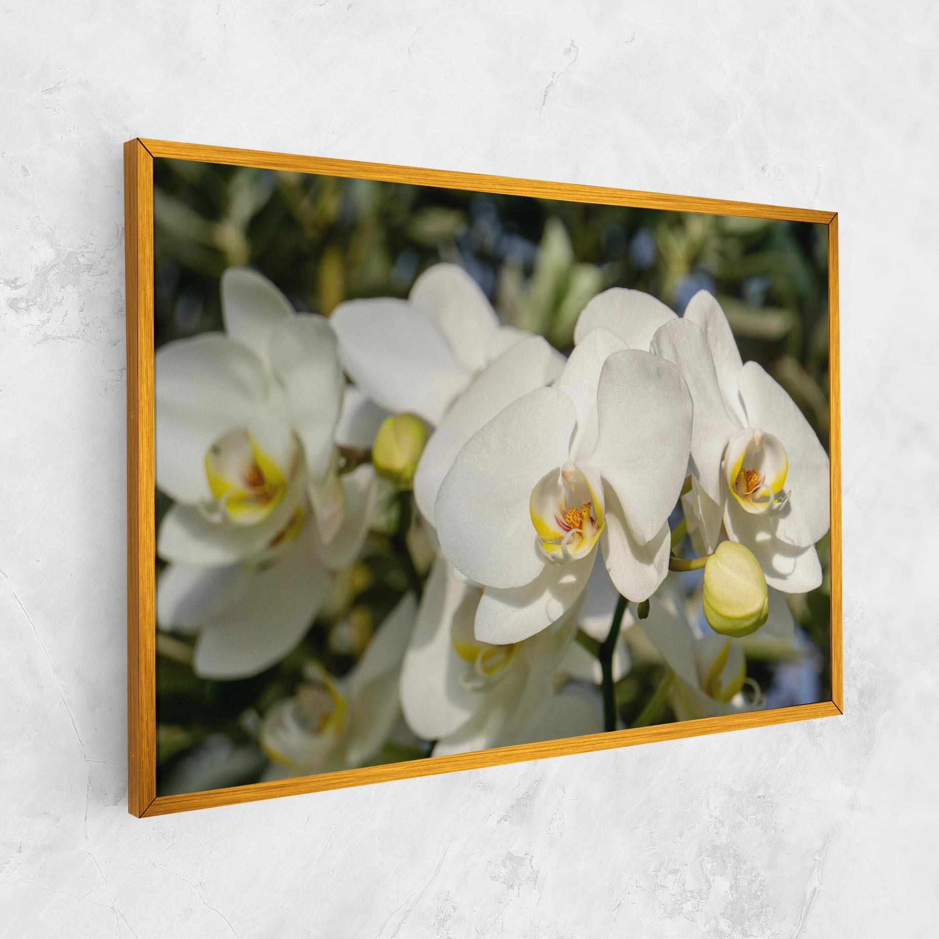 Tablou Canvas Big Orchids In Nature mockup 1