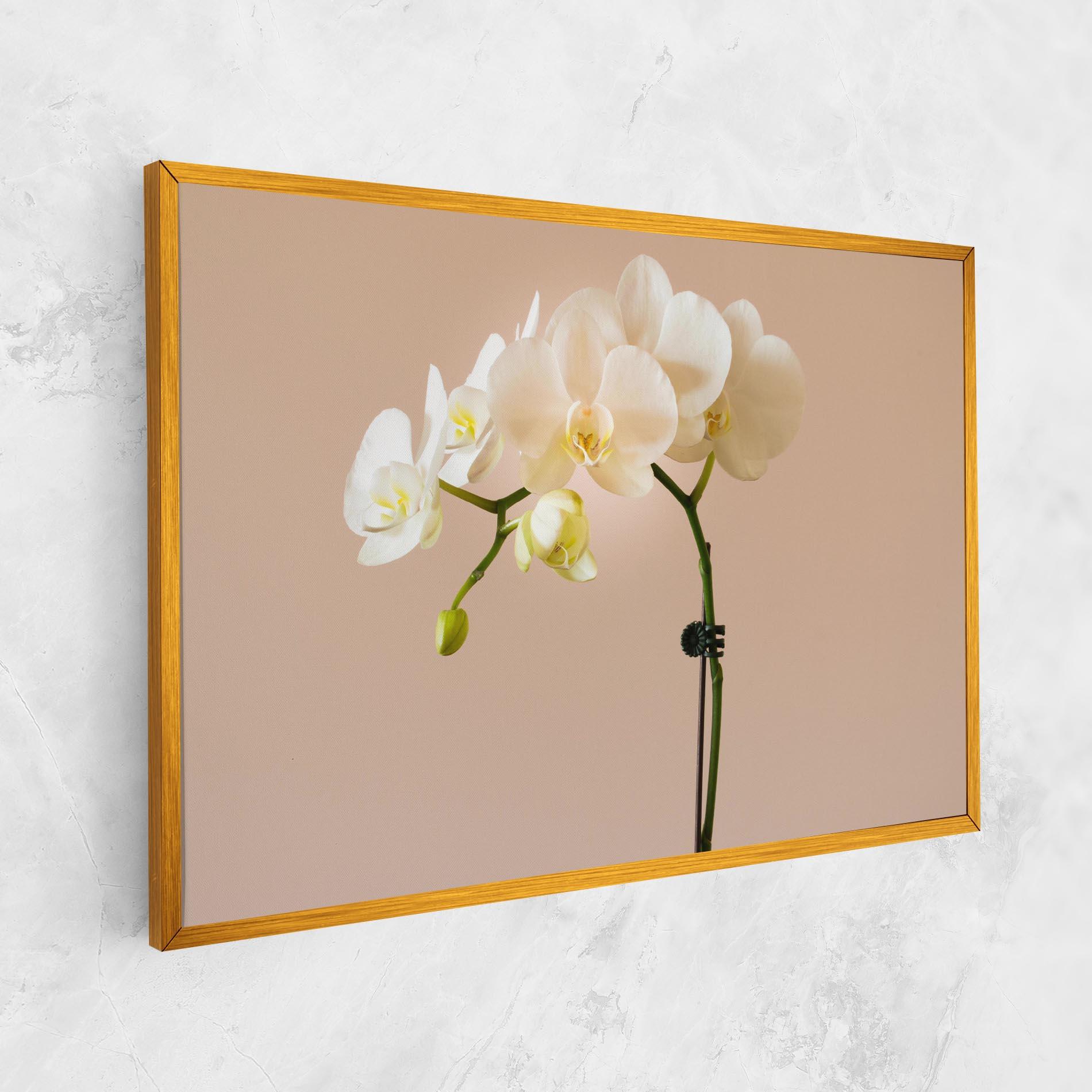 Tablou Canvas Cream Orchid On Pink mockup 1