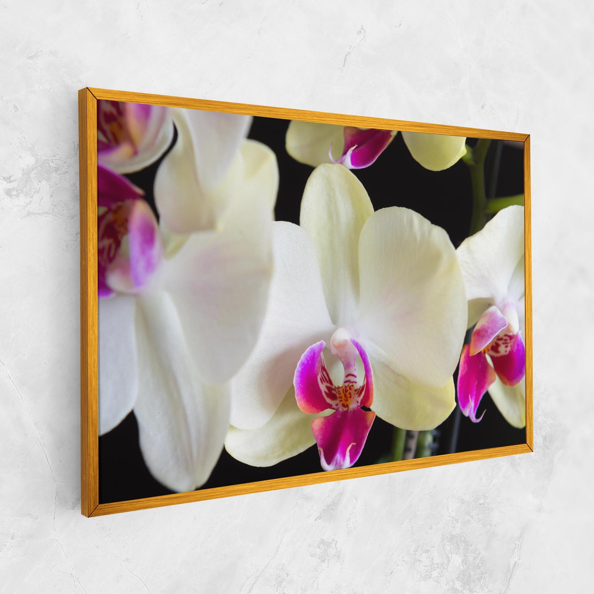 Tablou Canvas Cream Purple Orchids mockup 1