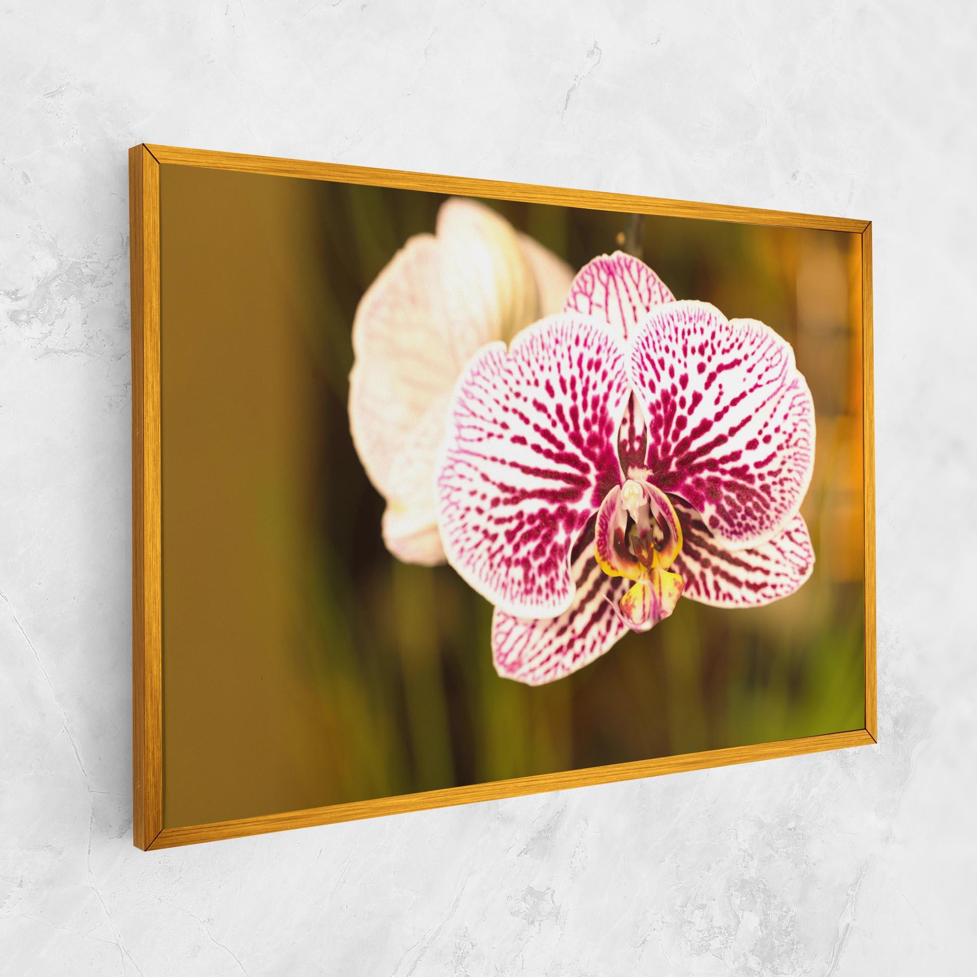Tablou Canvas Garden Orchids mockup 1