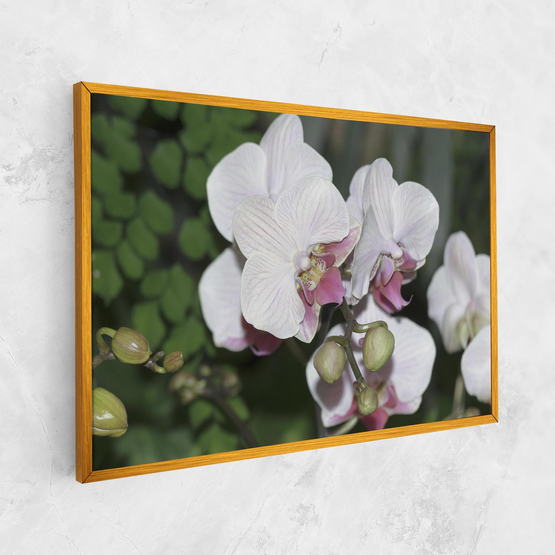 Tablou Canvas Orchid Botanical Garden mockup 1