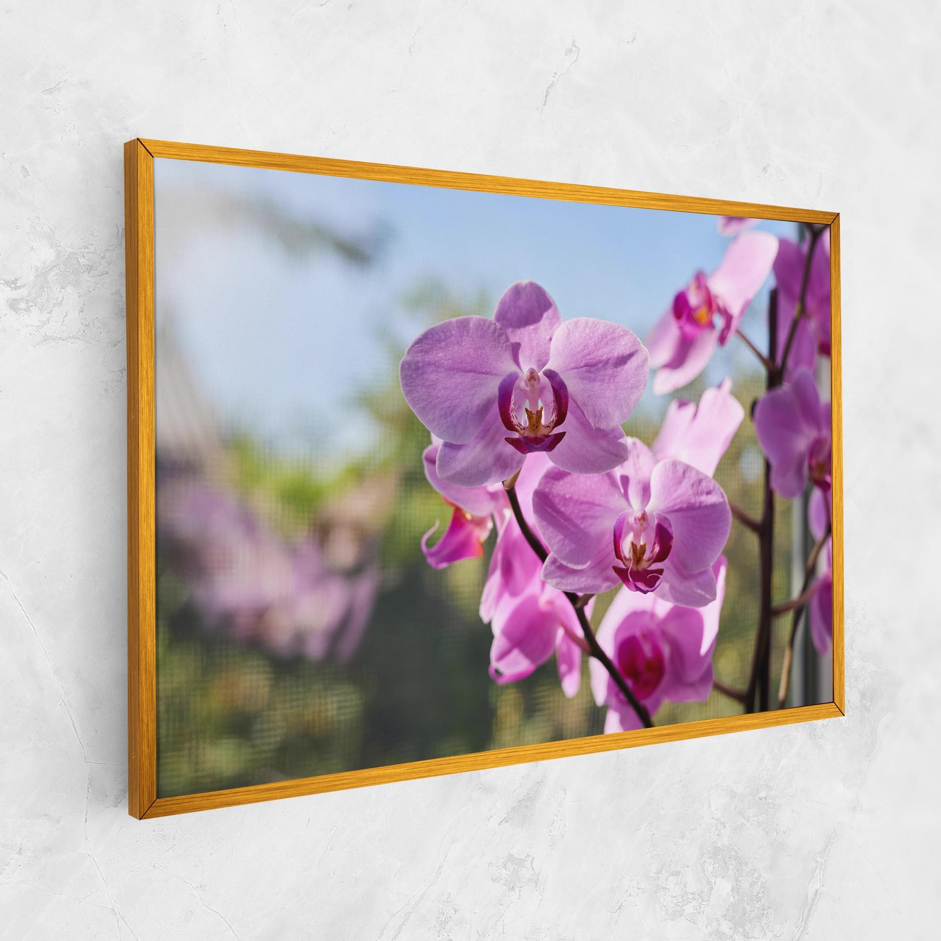 Tablou Canvas Orchids In The Garden mockup 1